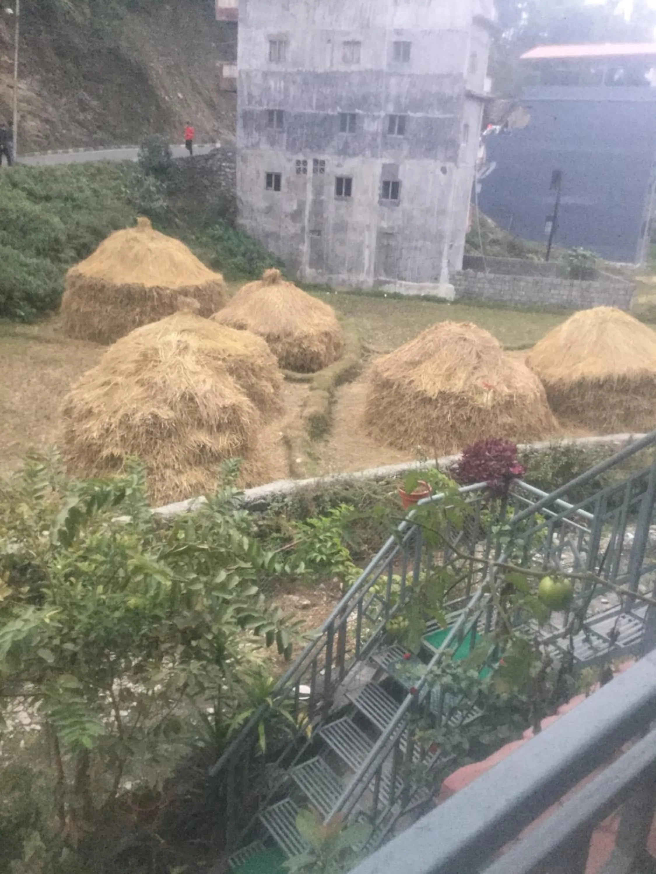 Neighbourhood in Bishnu Homestay