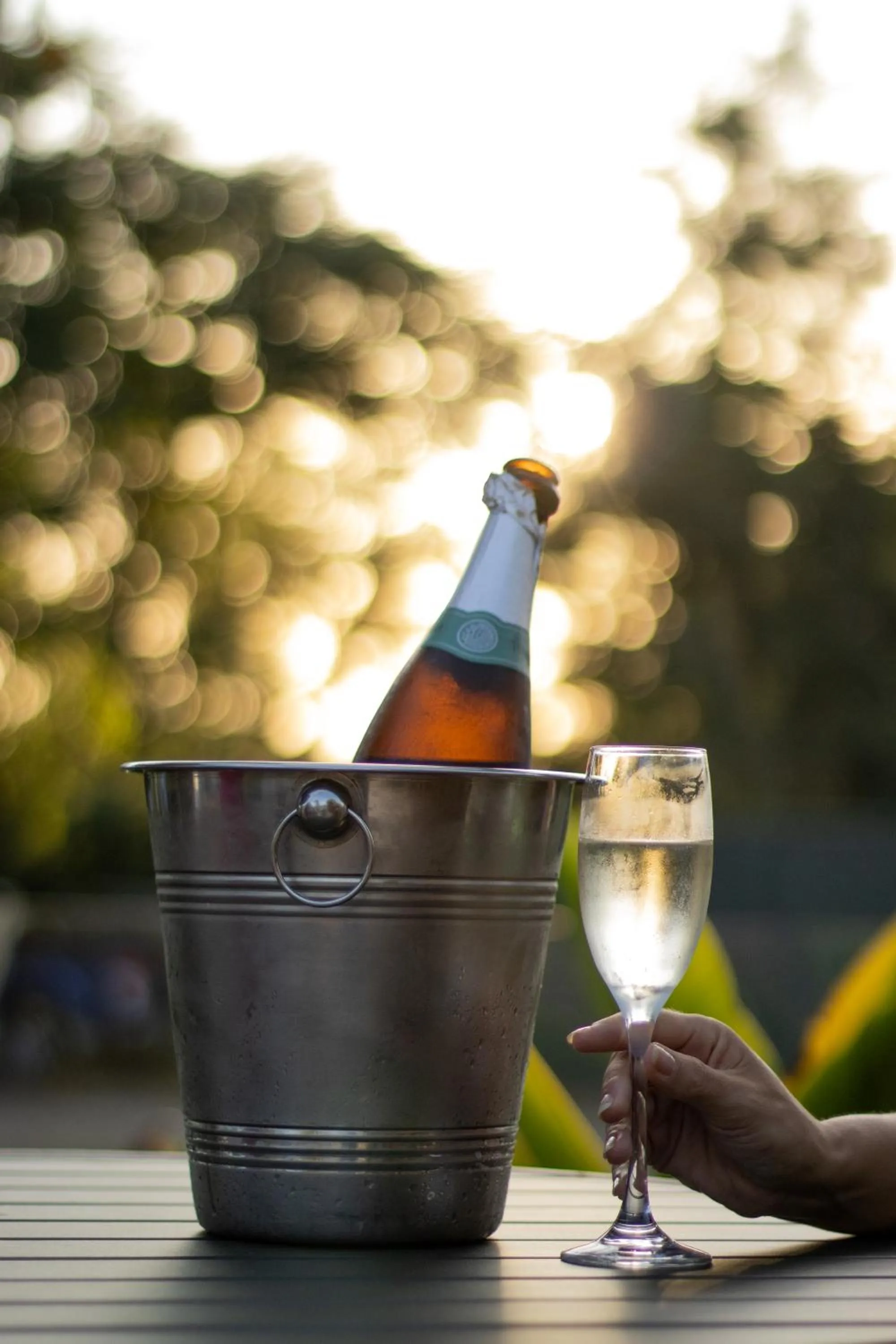 Alcoholic drinks in Cataratas Park Hotel e Eventos