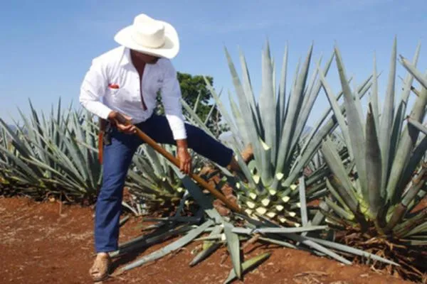 Activities in Hotel San Juan