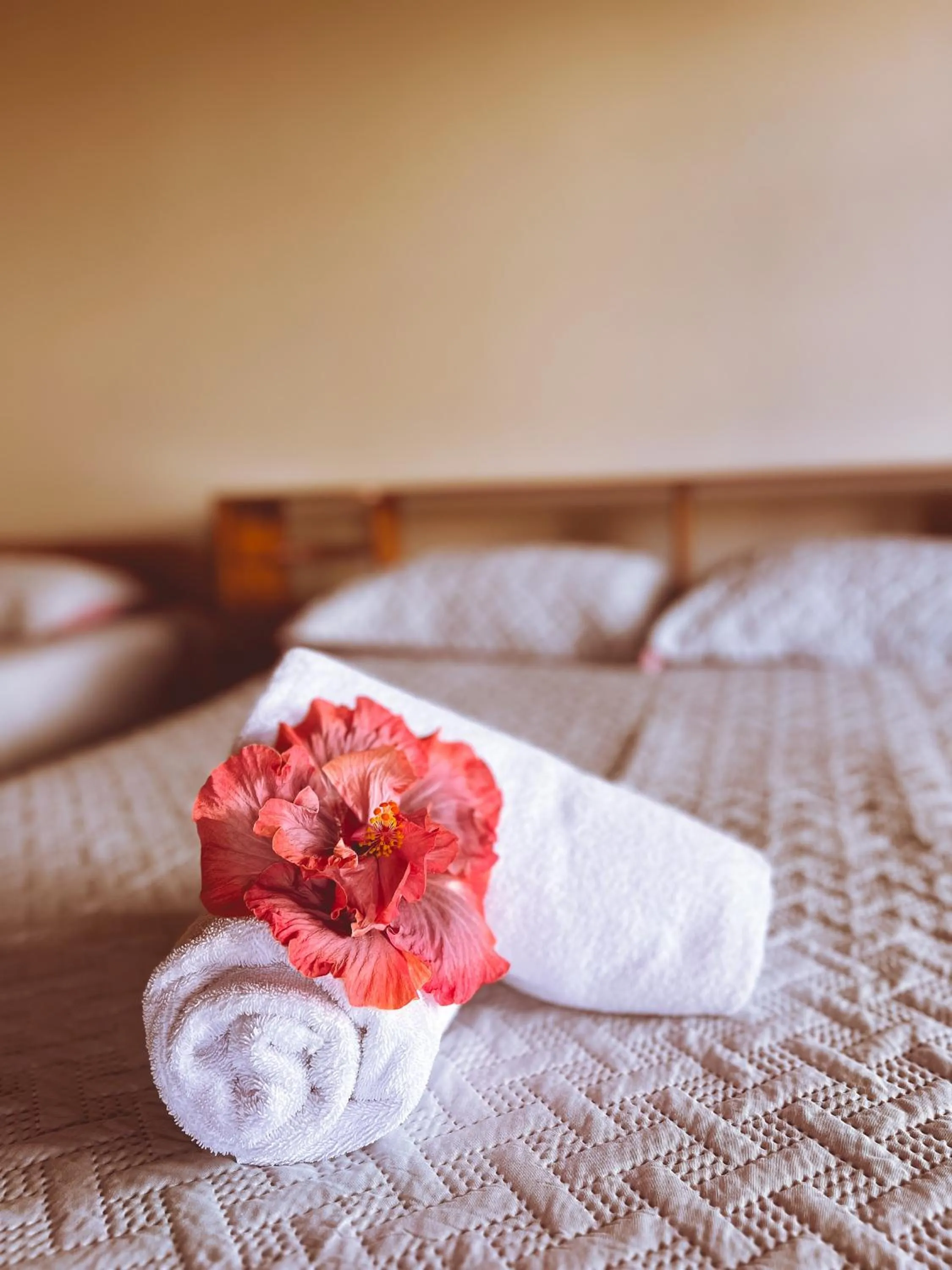 Bed in Hotel El Atardecer