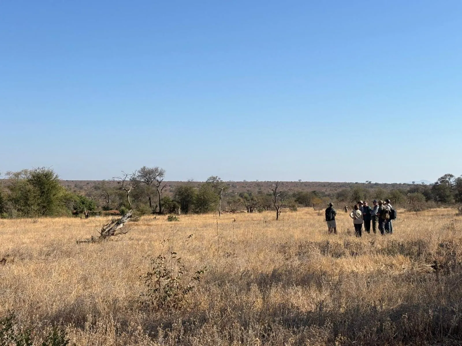 Day in Mohlabetsi Safari Lodge