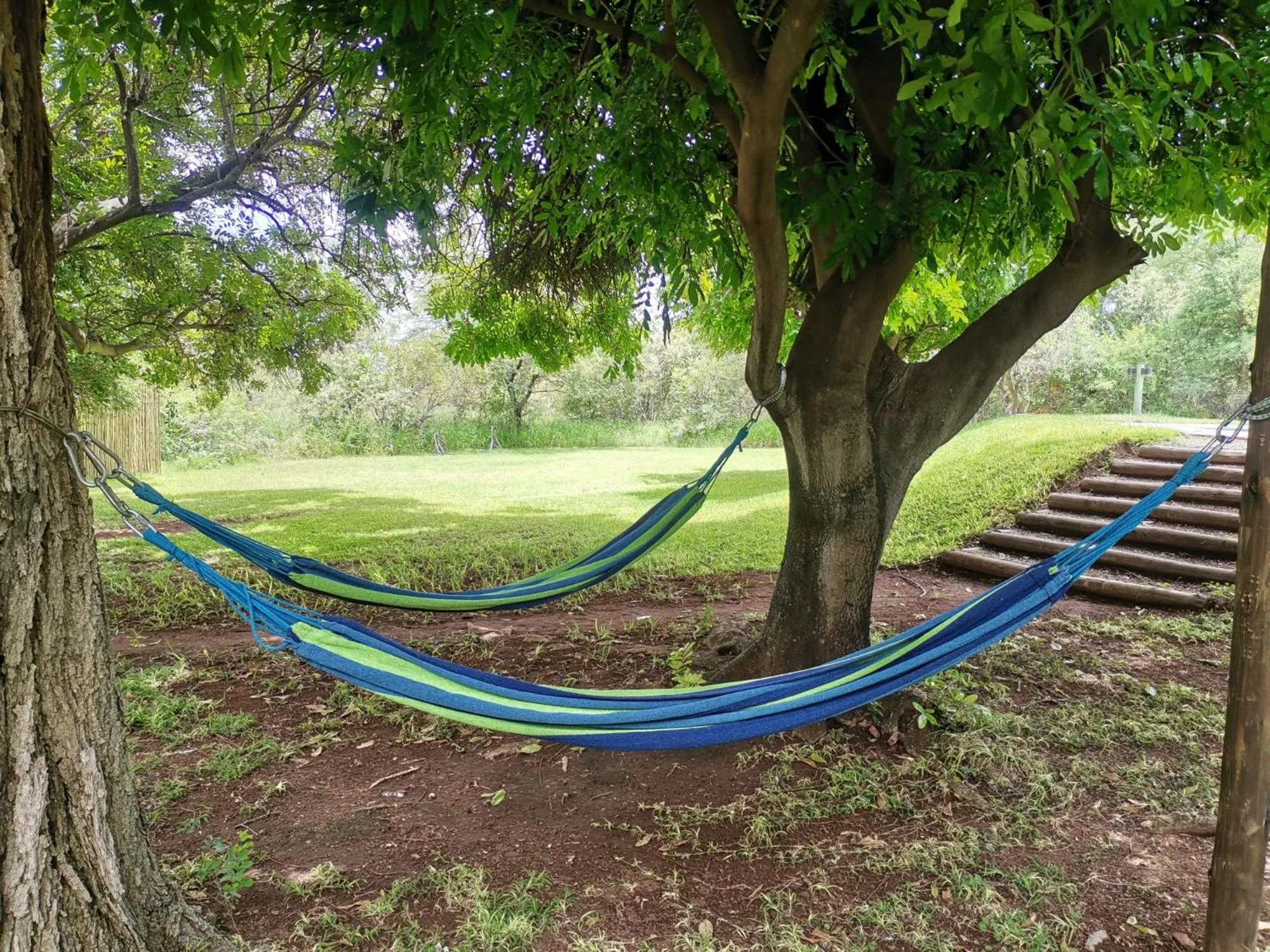 Garden in Mohlabetsi Safari Lodge