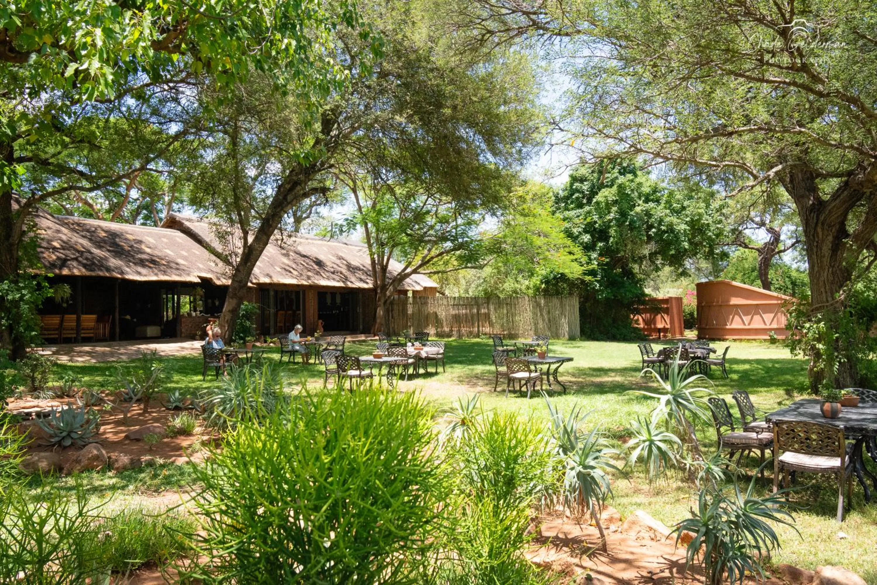Day in Mohlabetsi Safari Lodge