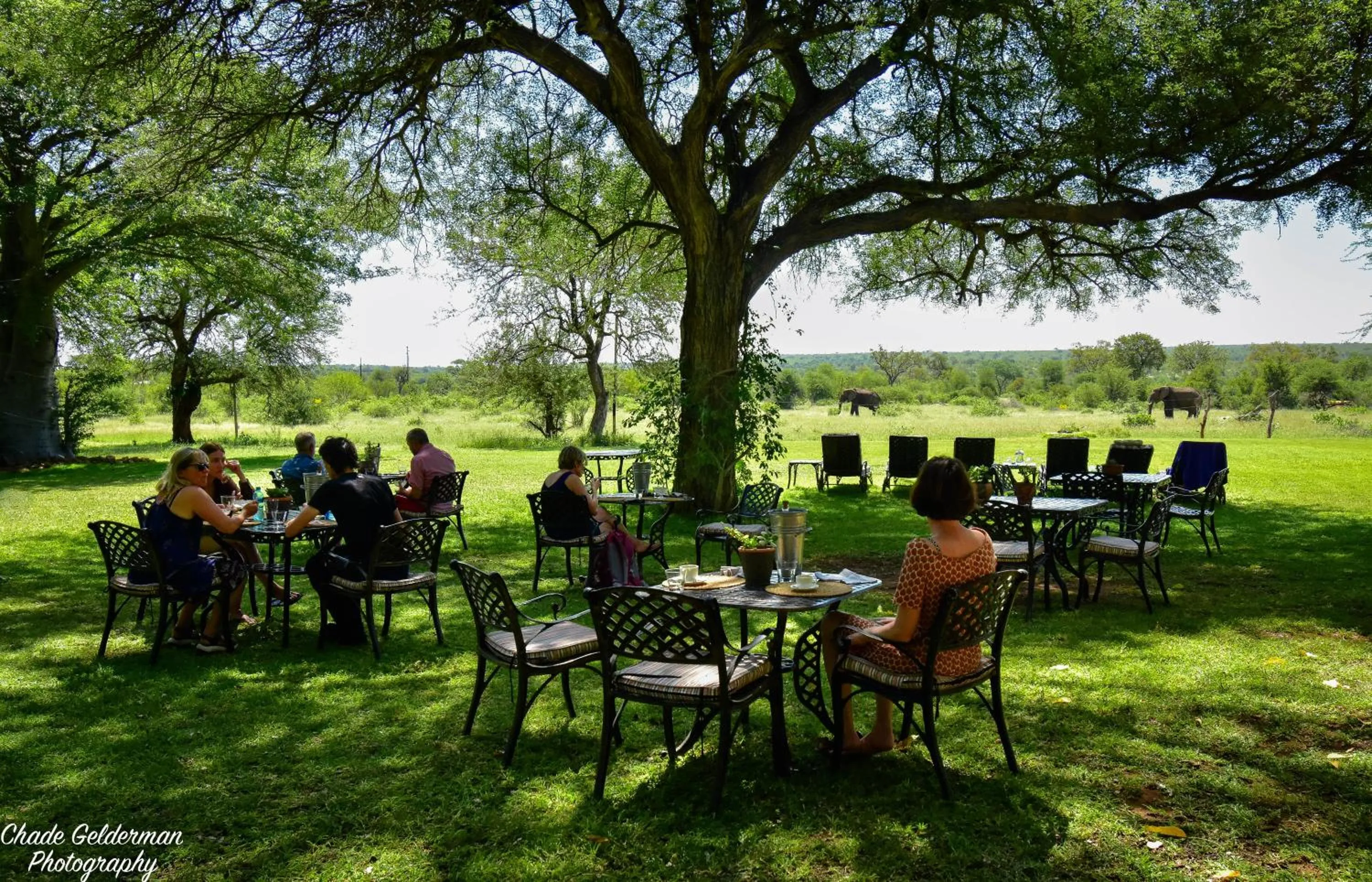 Seating area in Mohlabetsi Safari Lodge