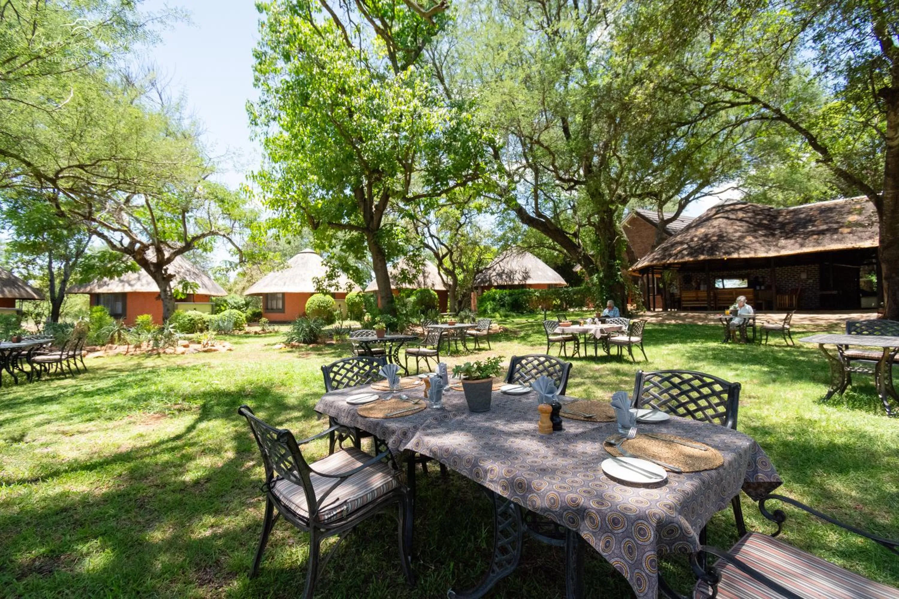 Day in Mohlabetsi Safari Lodge