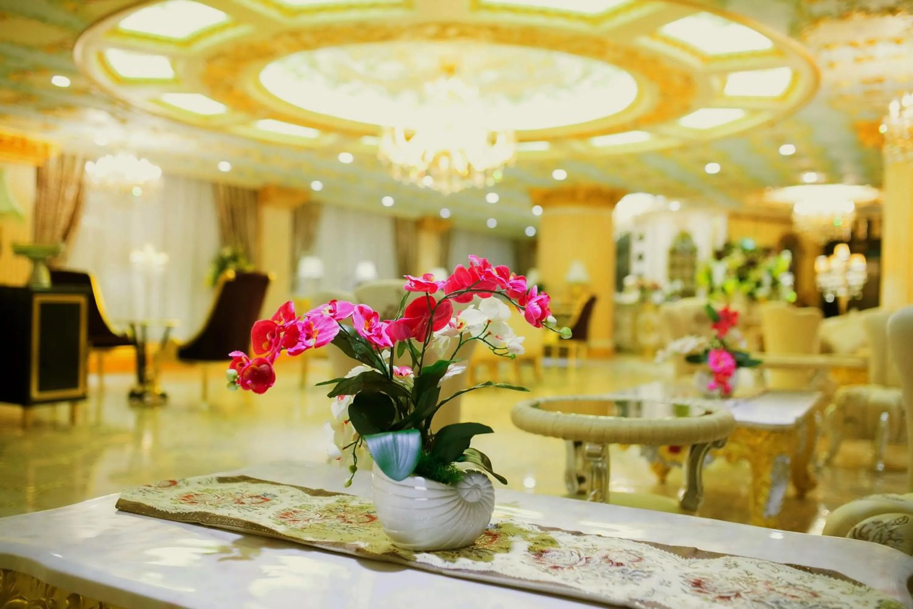 Area and facilities in Lace Boutique Hotel