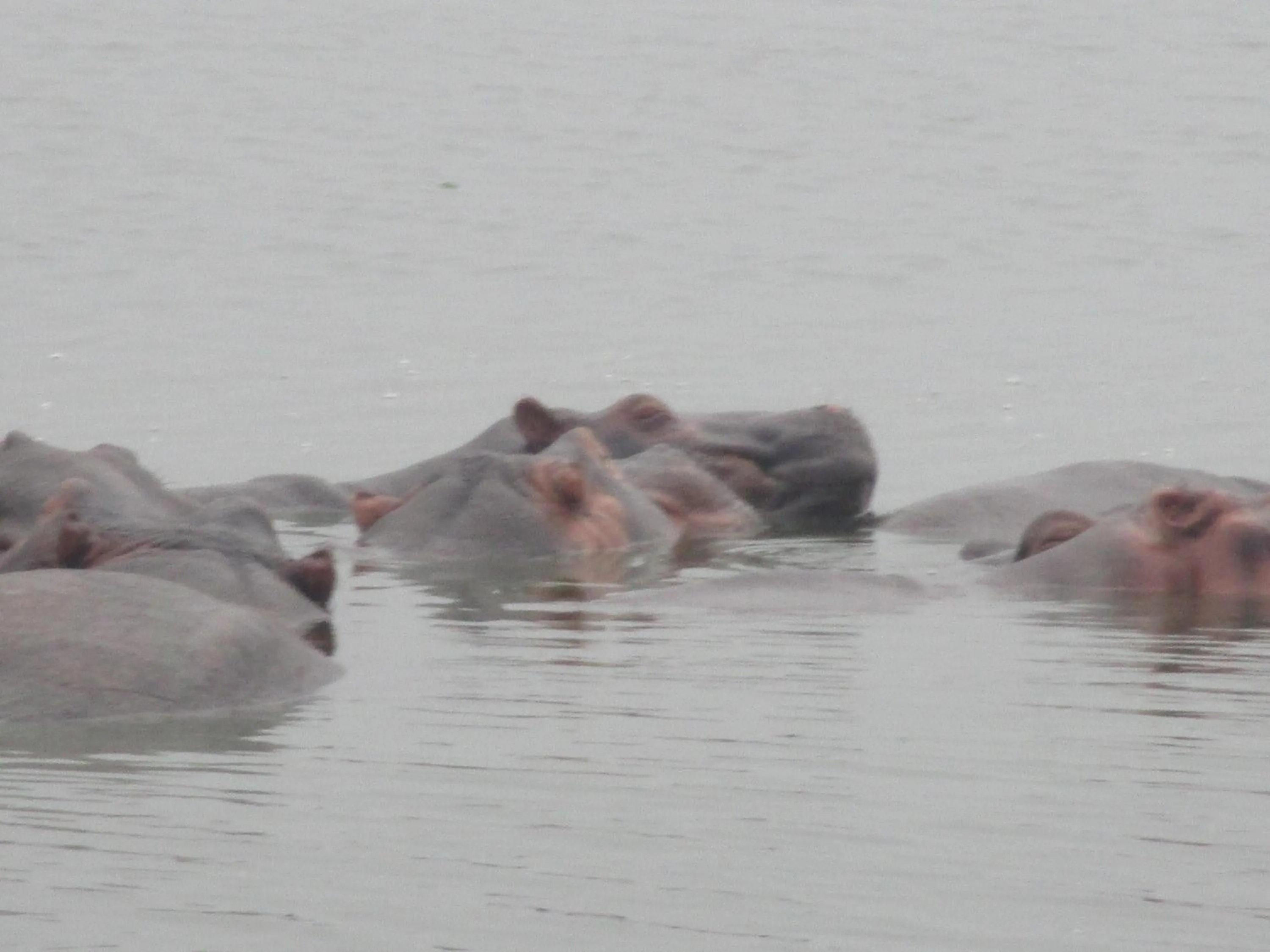 Aqua park in Sandton Hotel Kasese