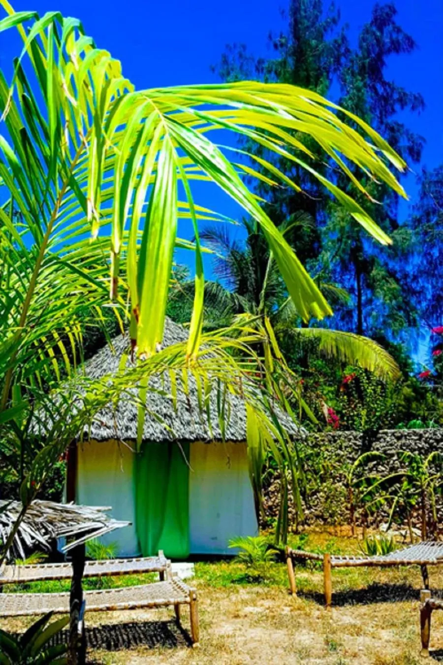 Massage in Simba House