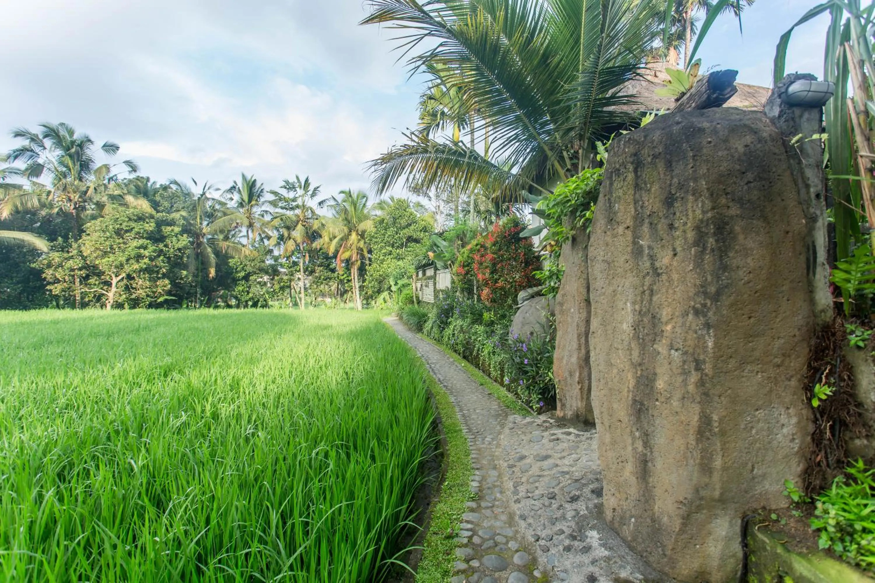 Garden view in Ubud Luwih Nature Retreat