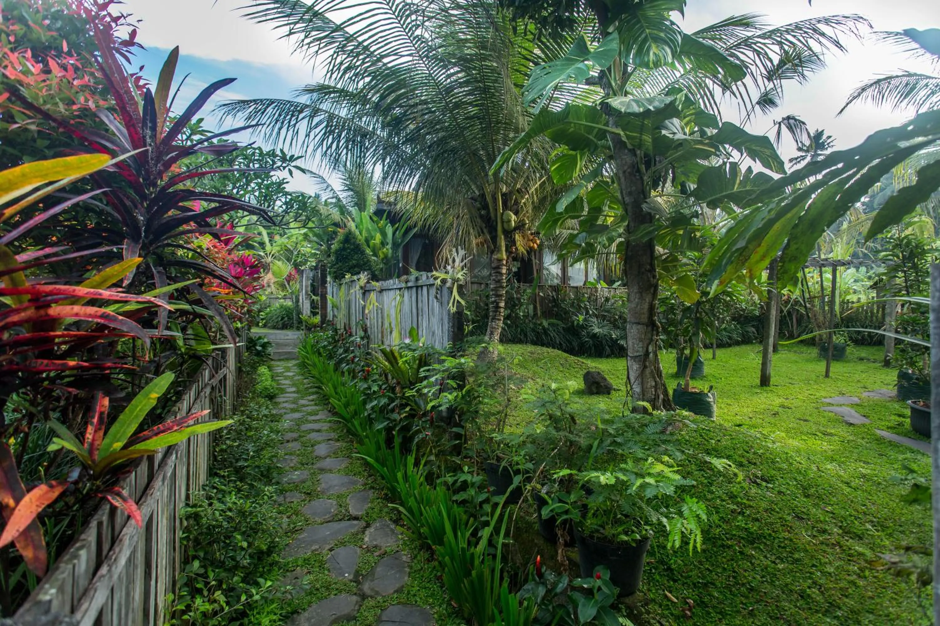 Garden view in Ubud Luwih Nature Retreat