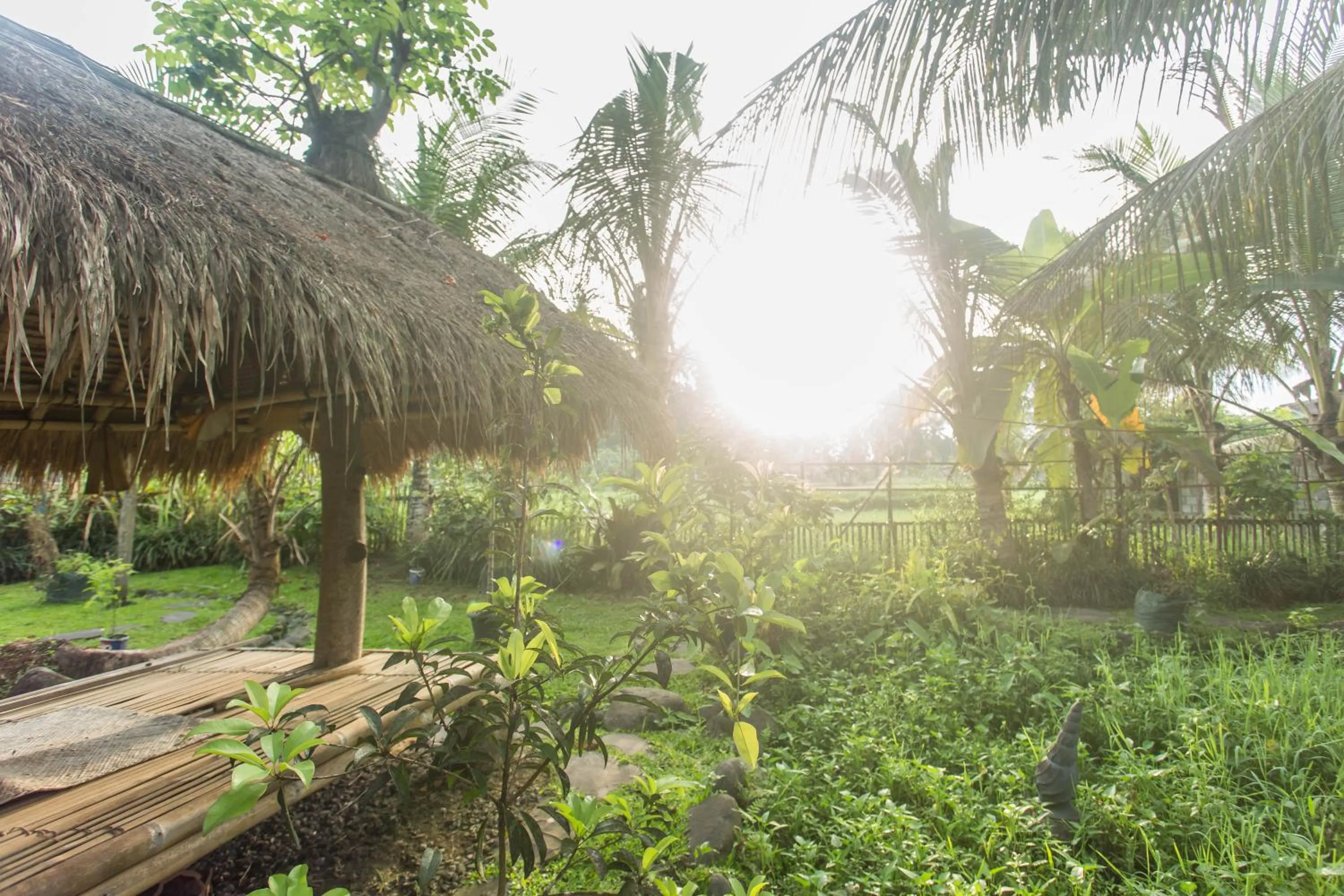 Garden in Ubud Luwih Nature Retreat