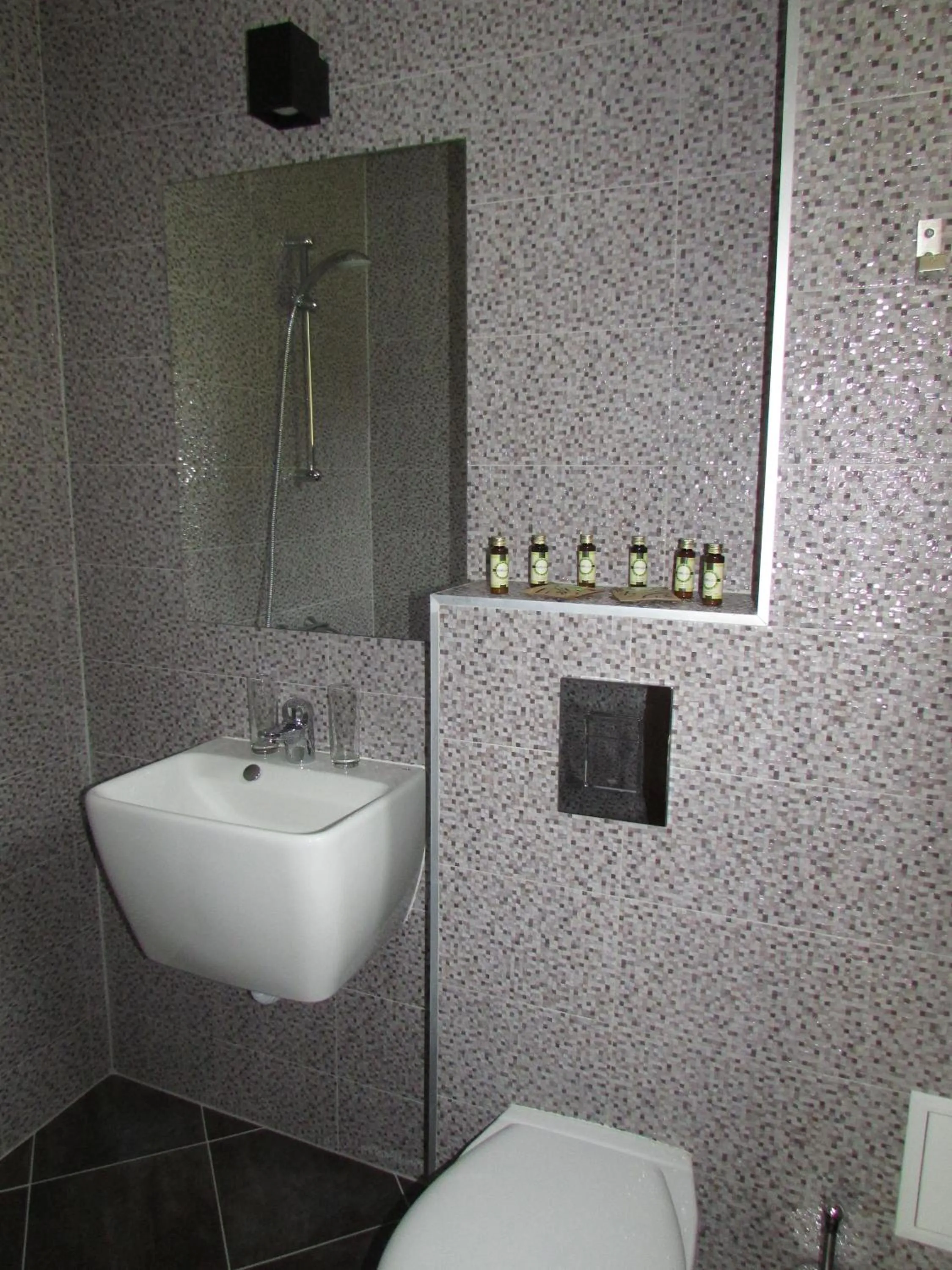 Bathroom in Trigrad Hotel