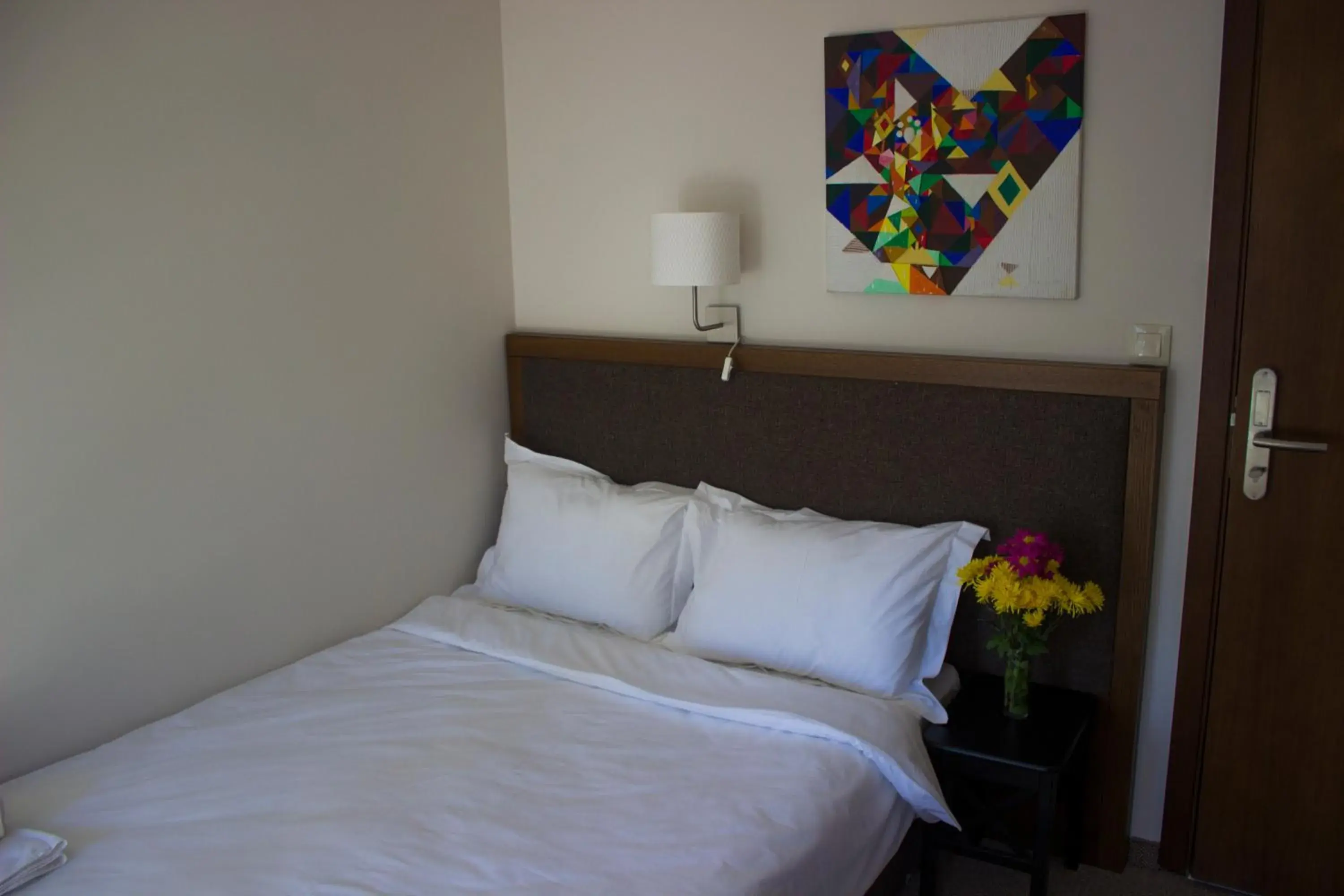Budget Double Room - single occupancy in Trigrad Hotel Budget Double Room - single occupancy in Trigrad Hotel