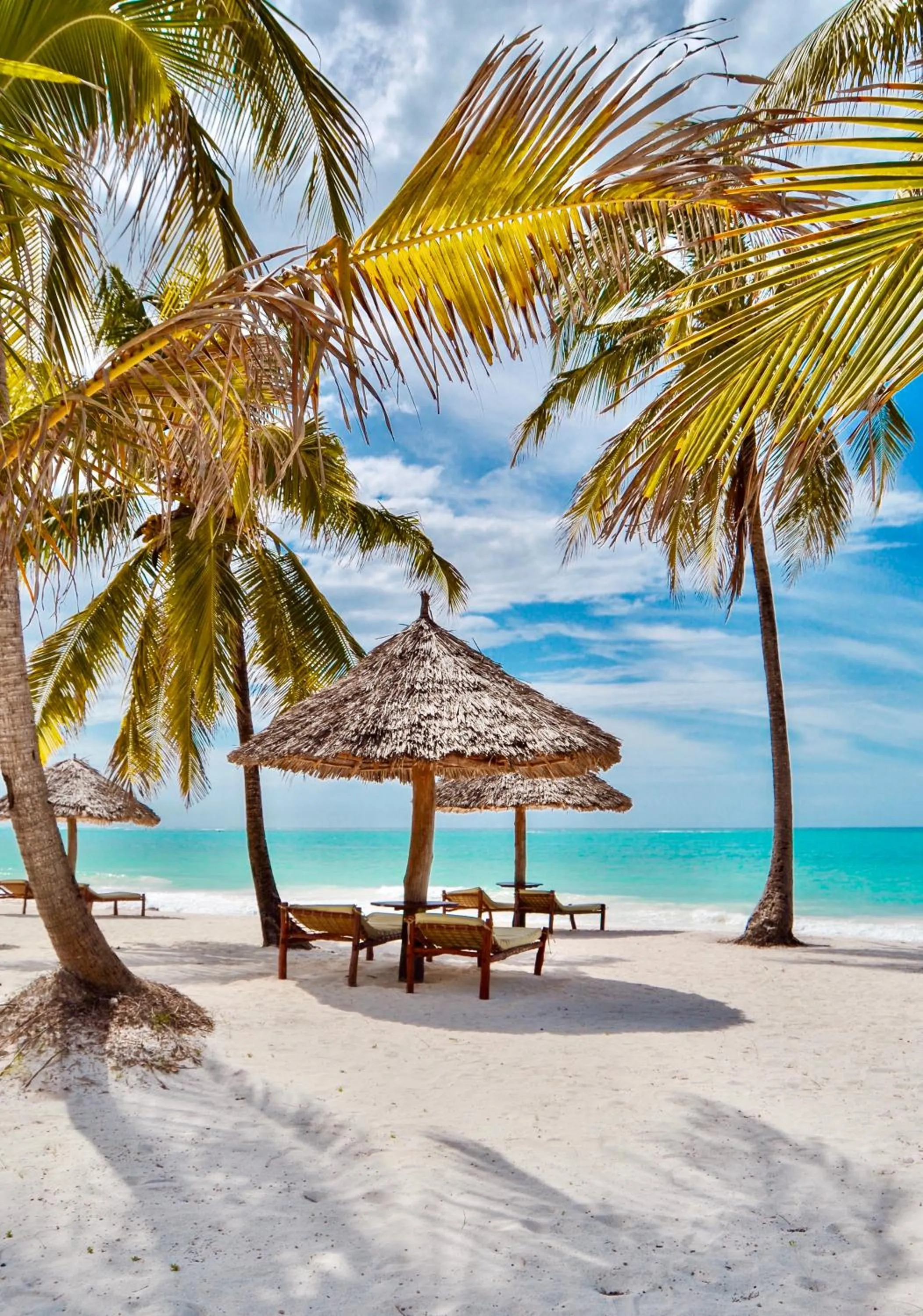 Beach in The Sands Beach Resort