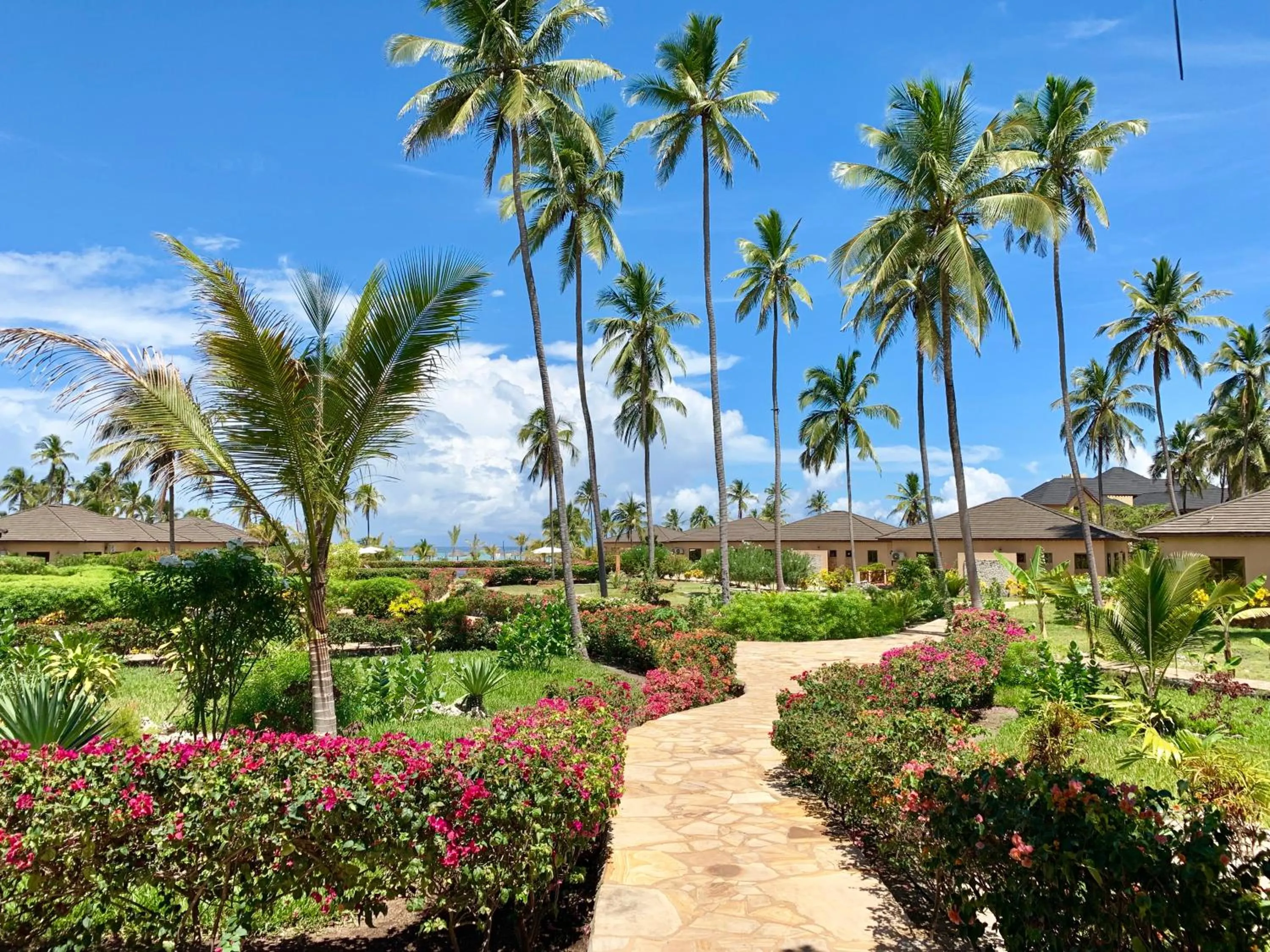 Garden in The Sands Beach Resort