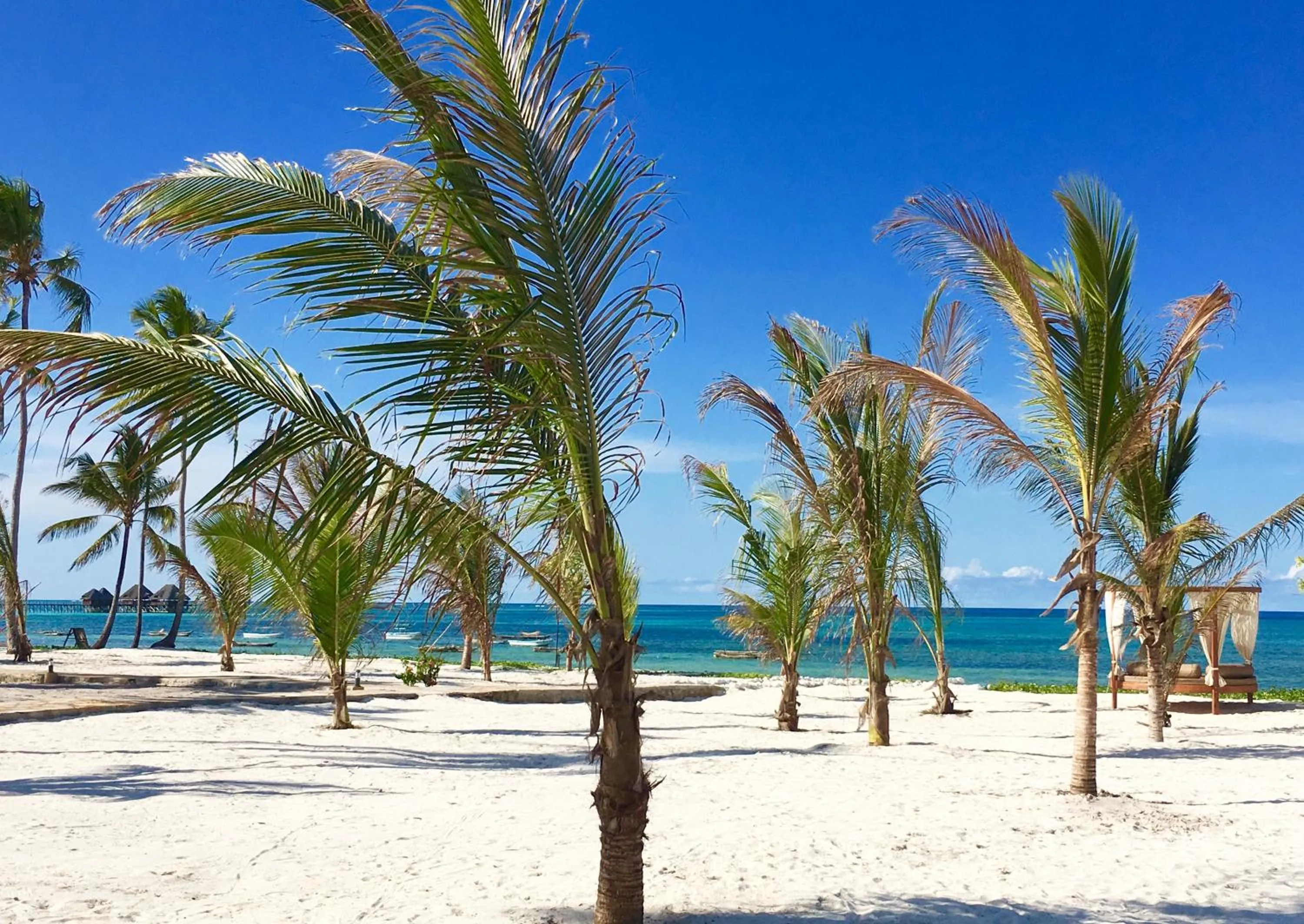 Beach in The Sands Beach Resort