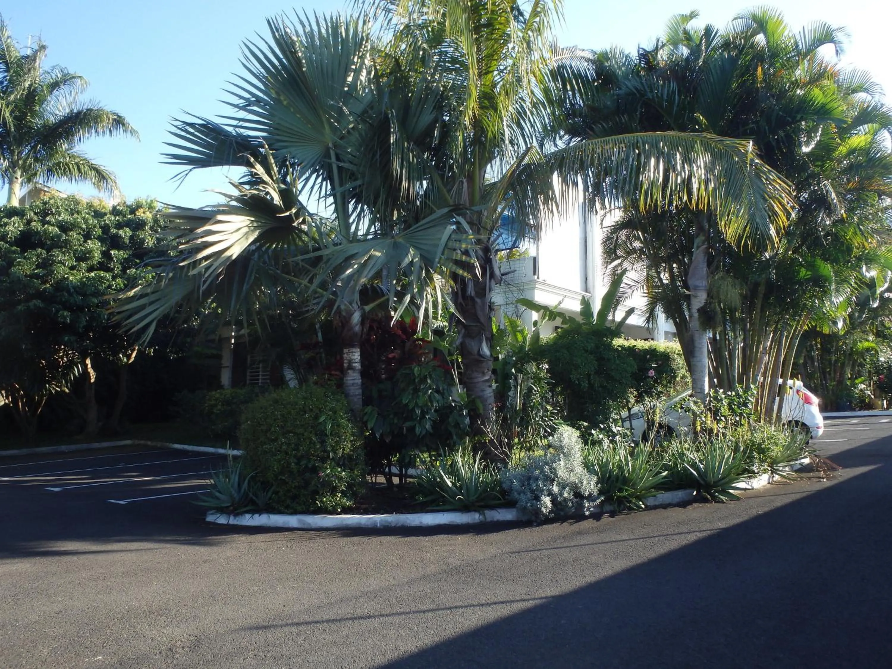 Other in Résidence Le Phoenix