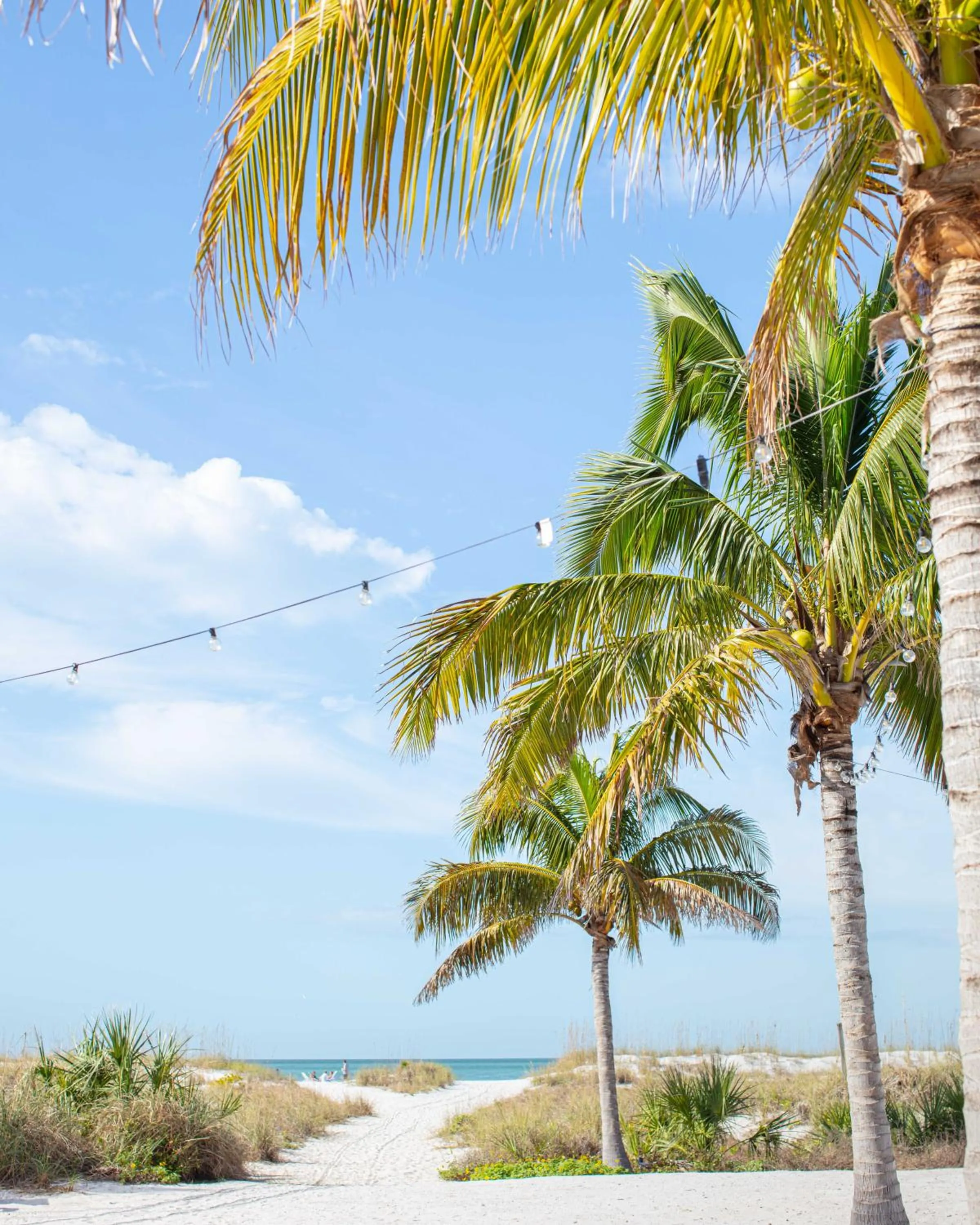 View (from property/room) in The Molloy - A Boutique Beach Resort