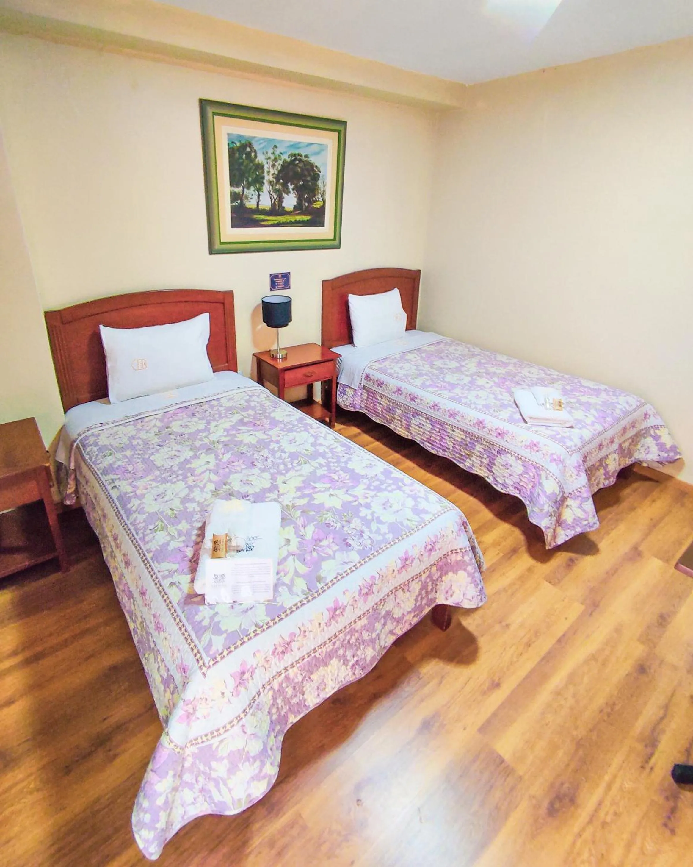 Bed in Hotel Los Reyes