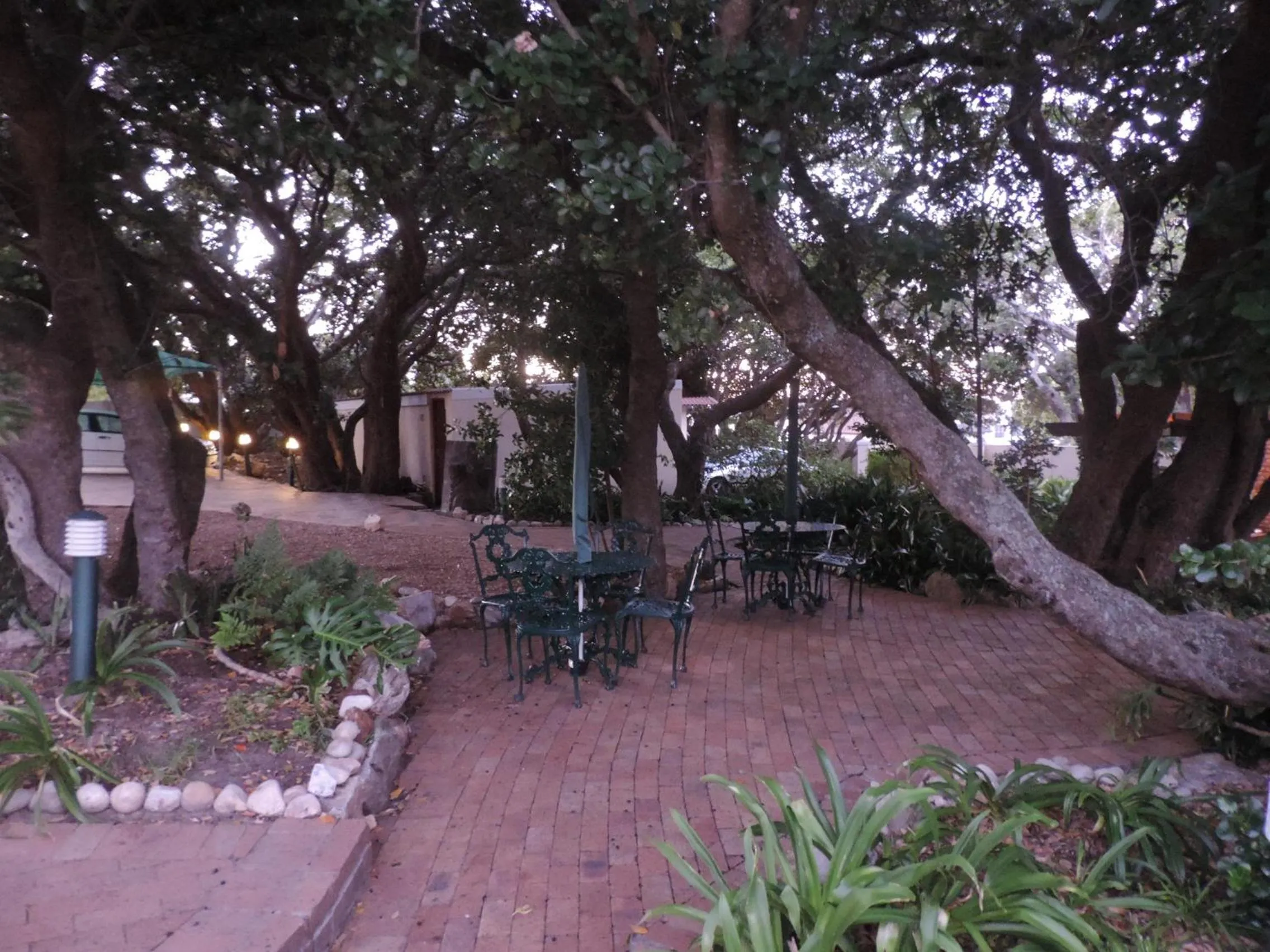 Garden in Milkwood Lodge