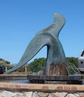 Day in Milkwood Lodge