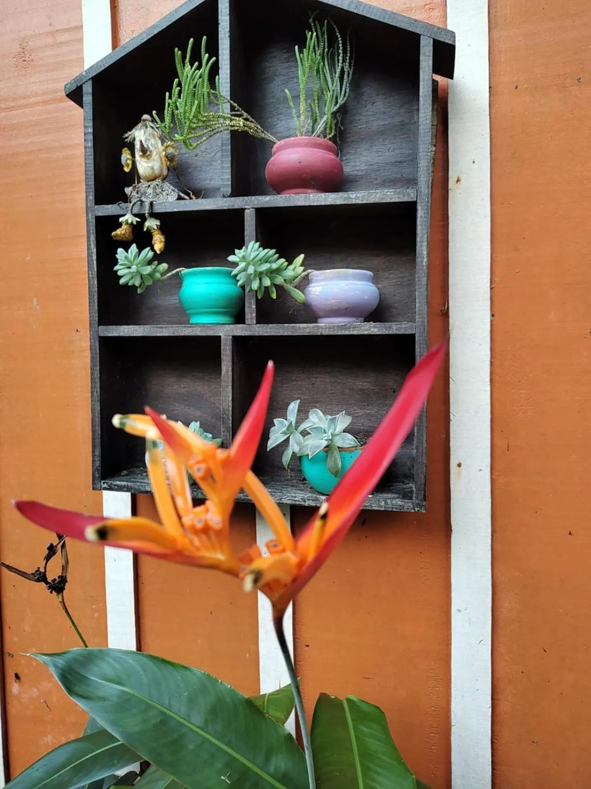 Decorative detail in Pousada Recanto das Cores