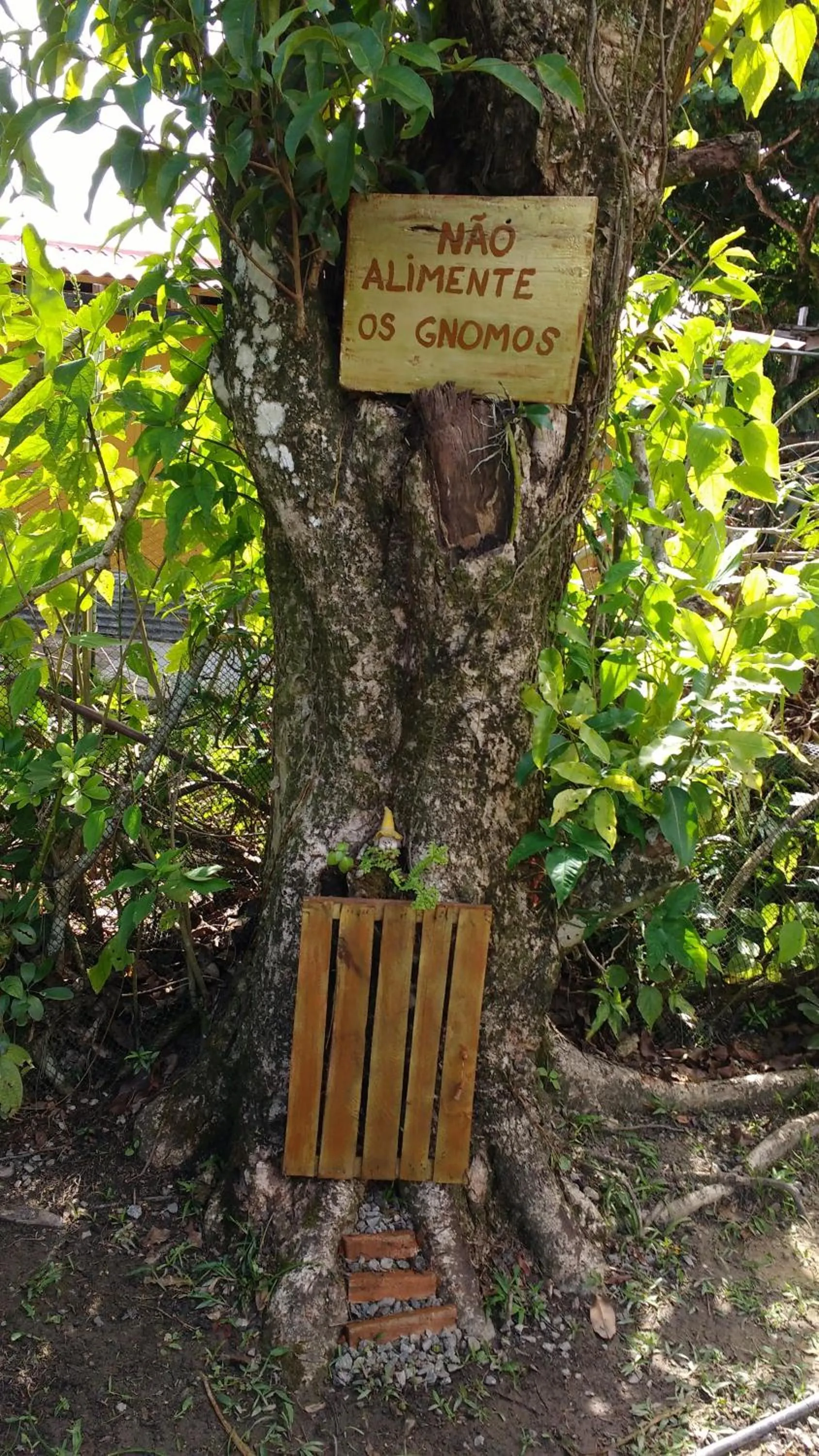 Hiking in Pousada Recanto das Cores