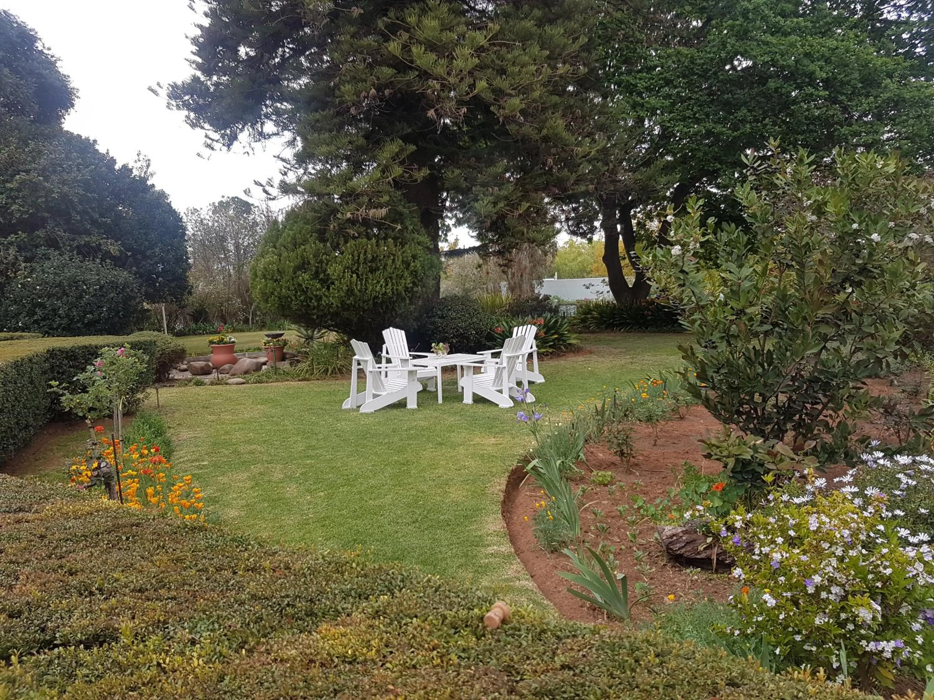 Garden view in Adley House