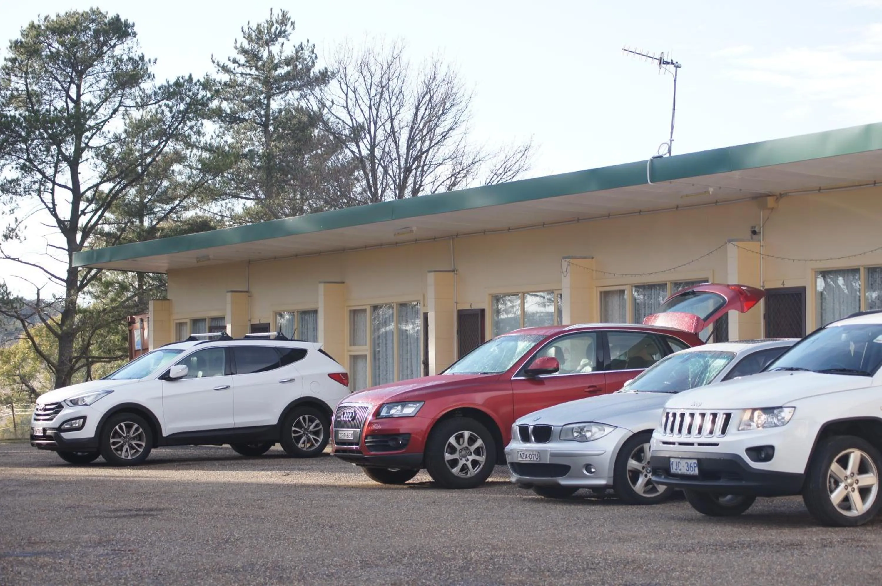 Pets in ALPINE COUNTRY MOTEL plus FREE COFFEE