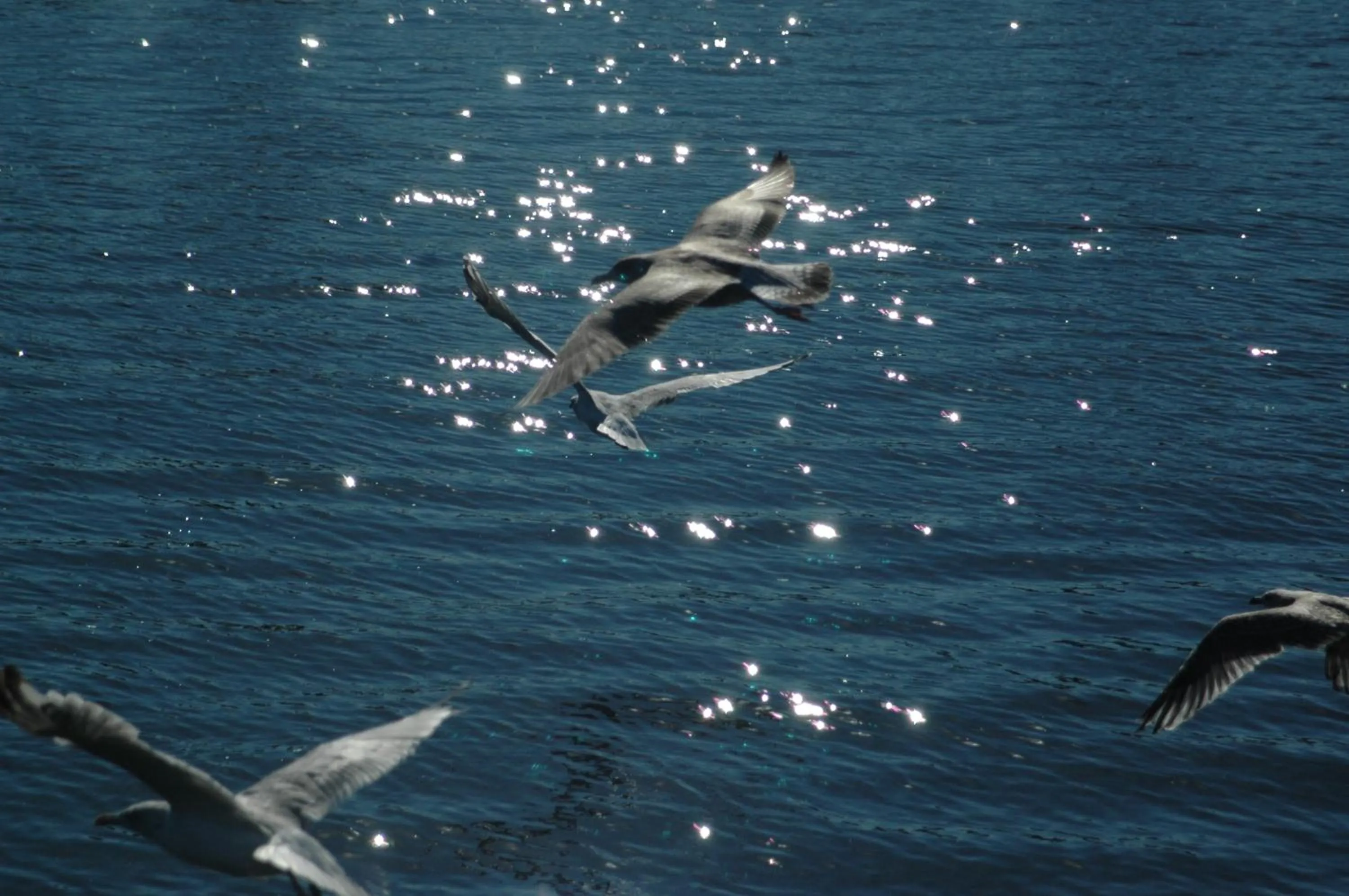 Natural landscape in Hotel Zorza