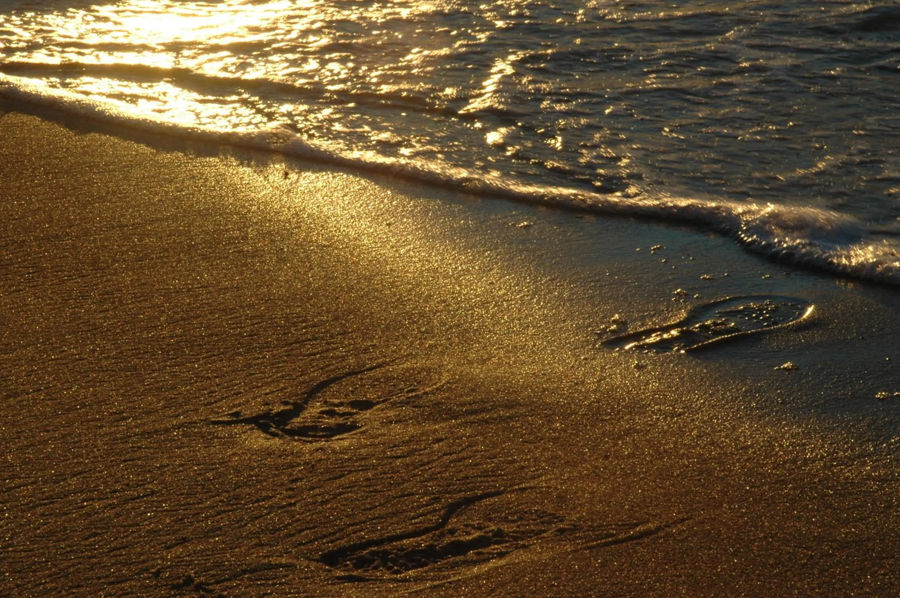 Beach in Hotel Zorza