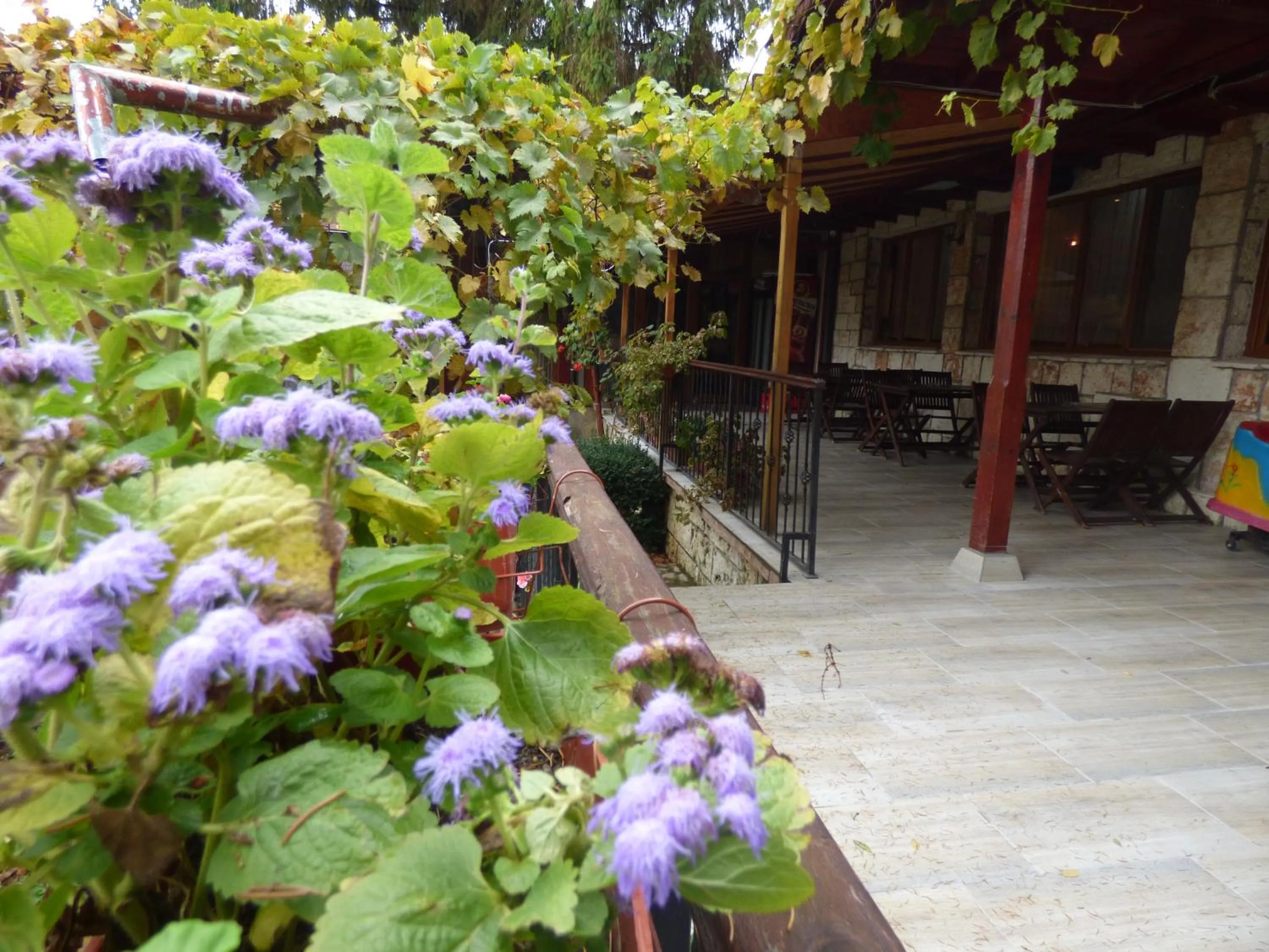 Property building in Kovanlika Hotel