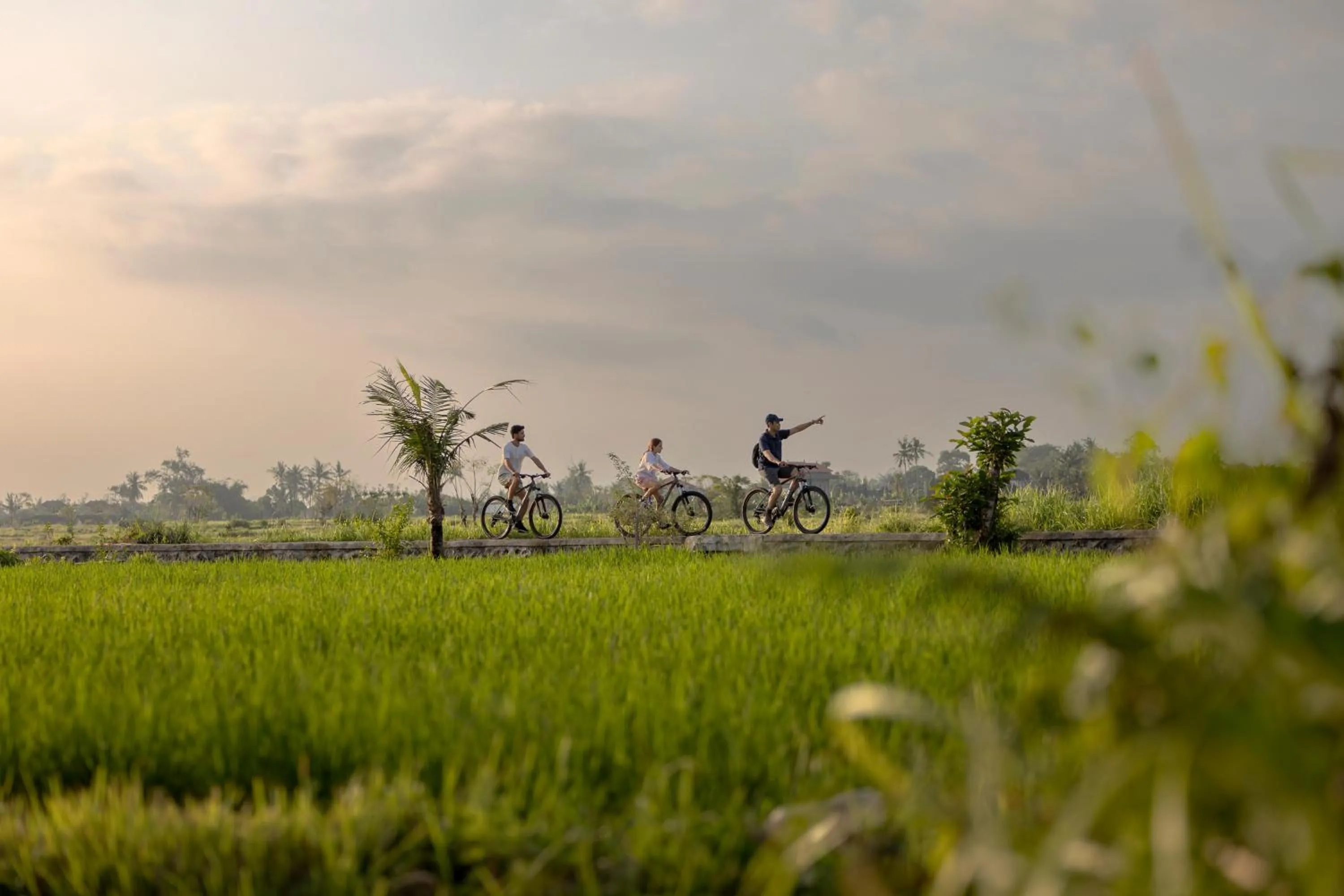 Area and facilities in Sanctoo Suites & Villas