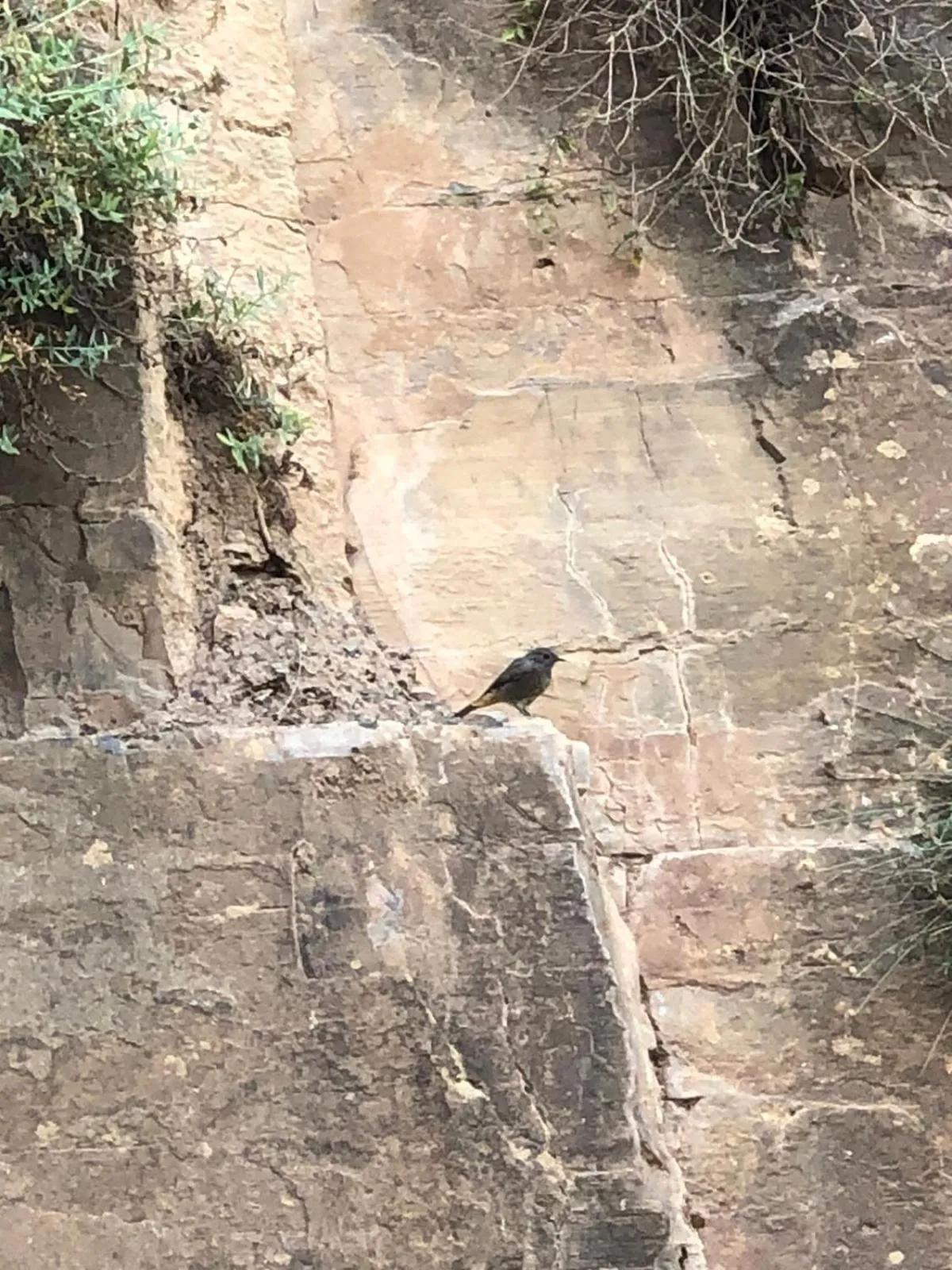 Natural landscape in Gite Ifoulou Tassaout