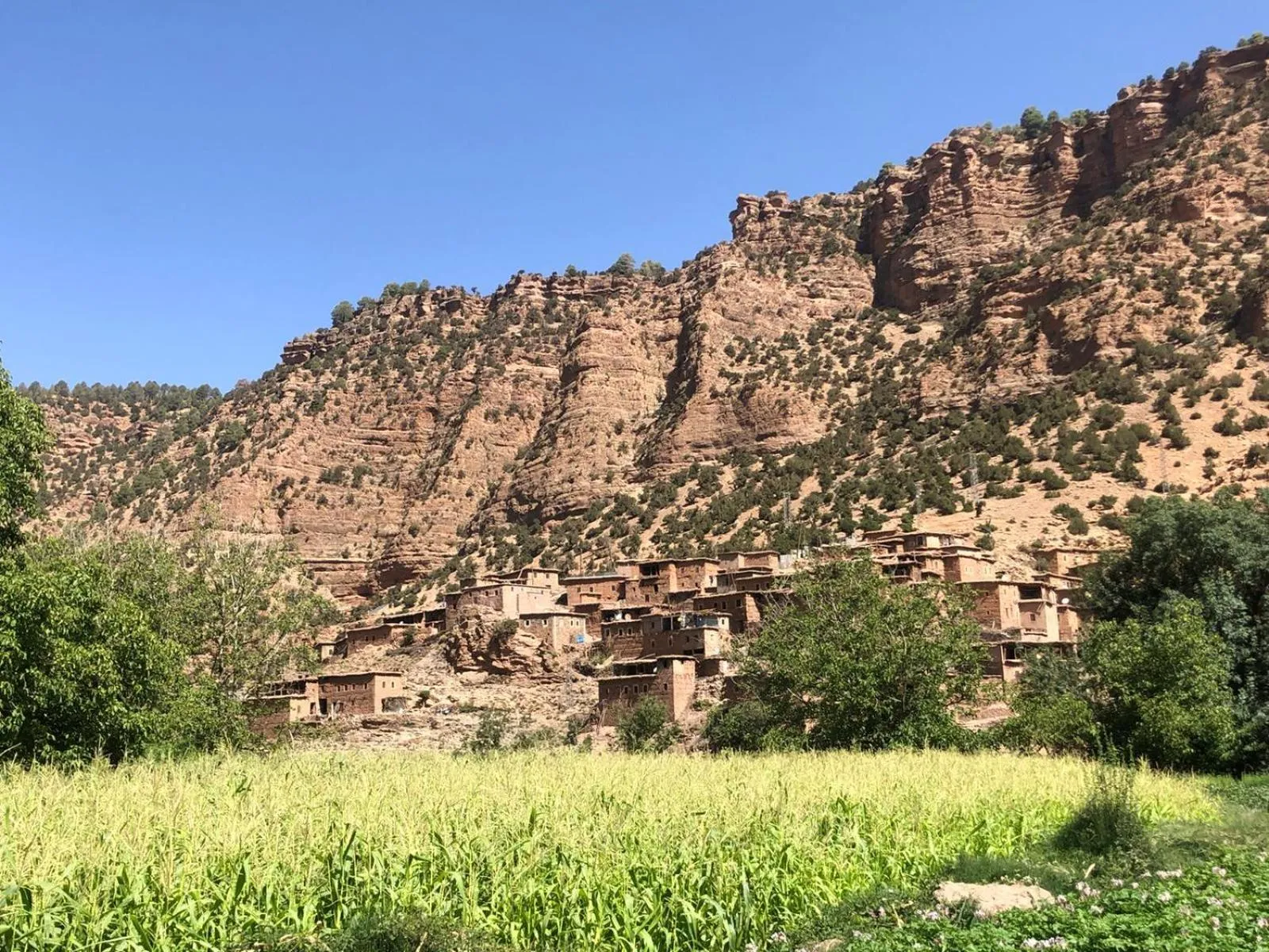 Bird's eye view in Gite Ifoulou Tassaout