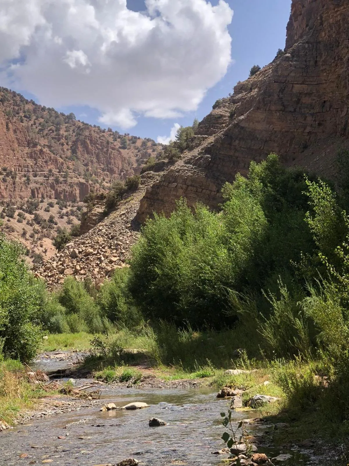 Nearby landmark in Gite Ifoulou Tassaout