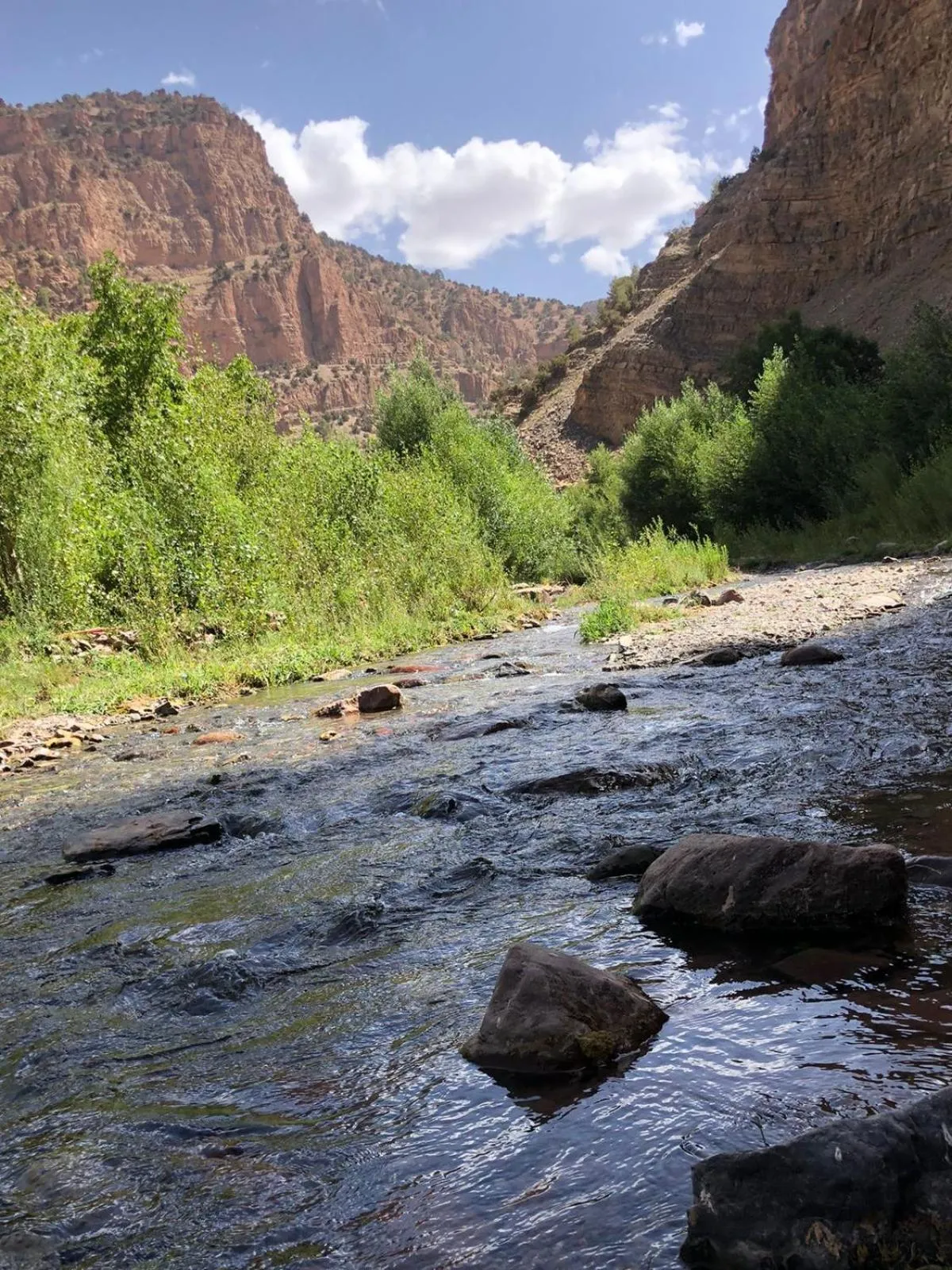 Garden view in Gite Ifoulou Tassaout
