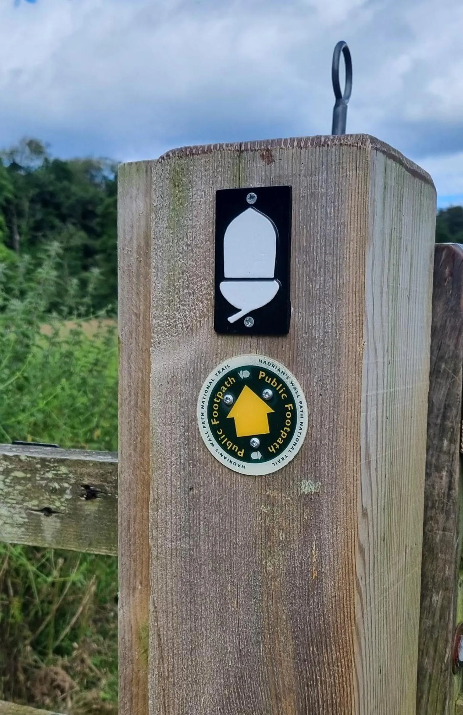 Hiking in Farlam Hall Hotel & Restaurant