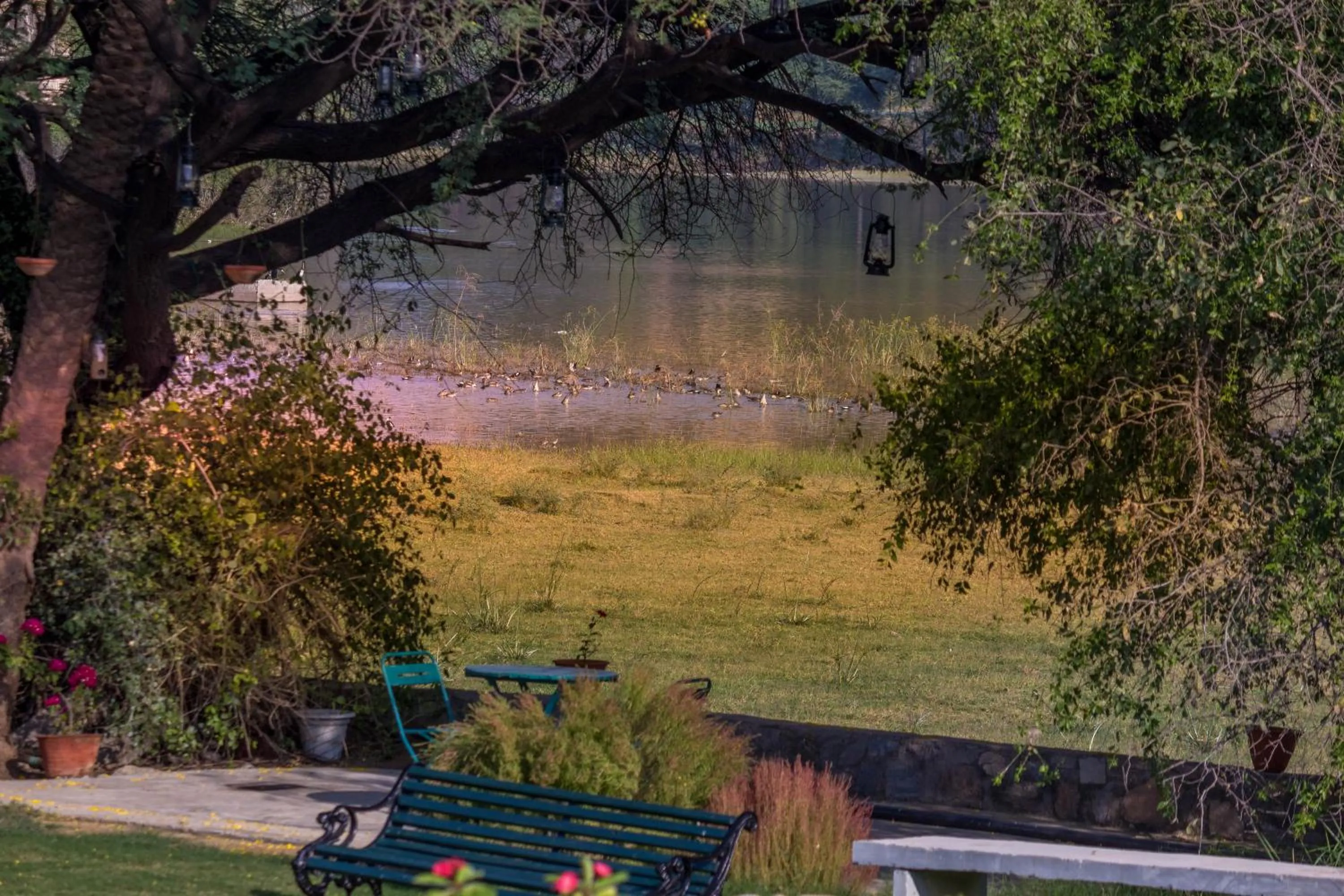Lake view in Dev Shree Deogarh