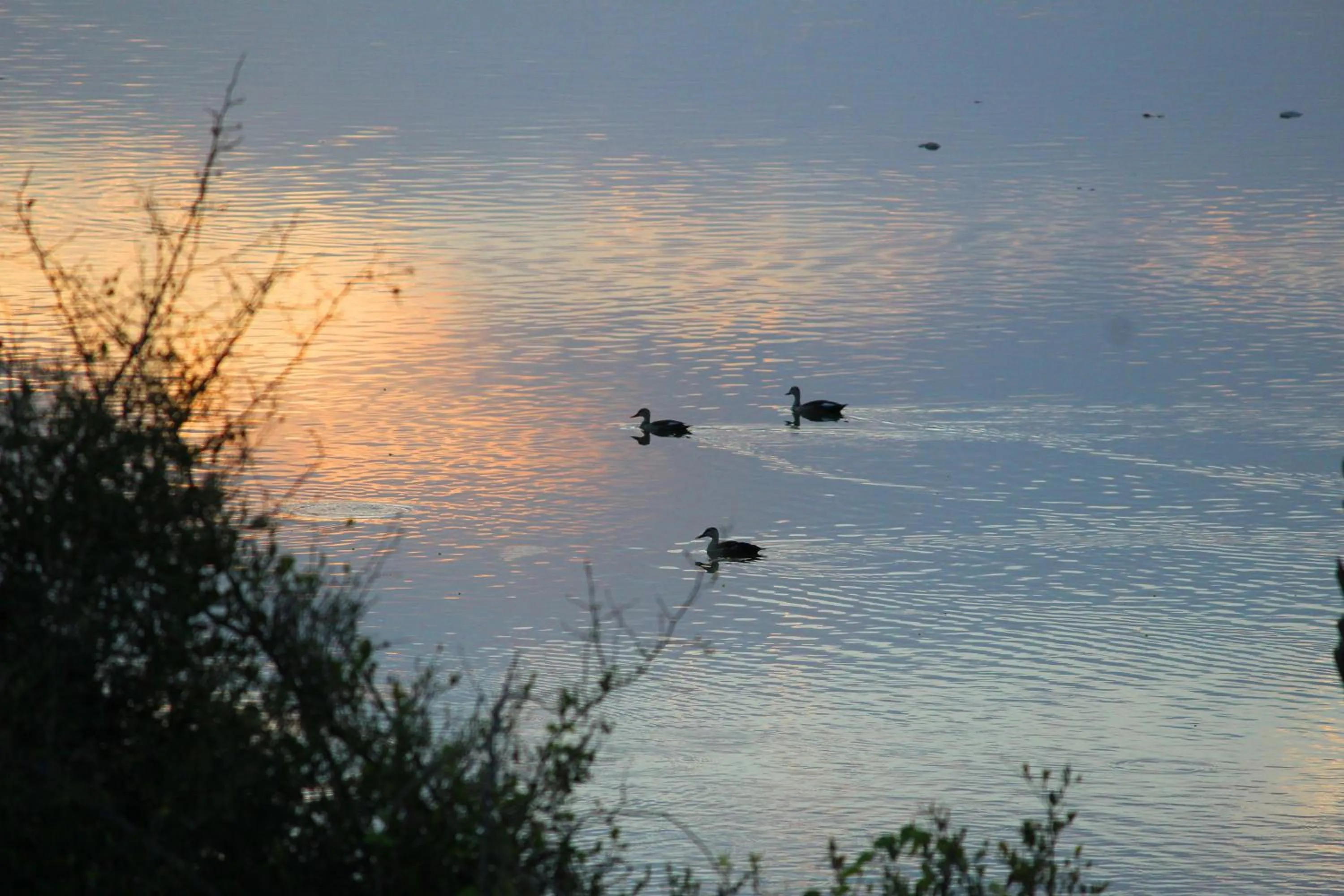 Natural landscape in Dev Shree Deogarh