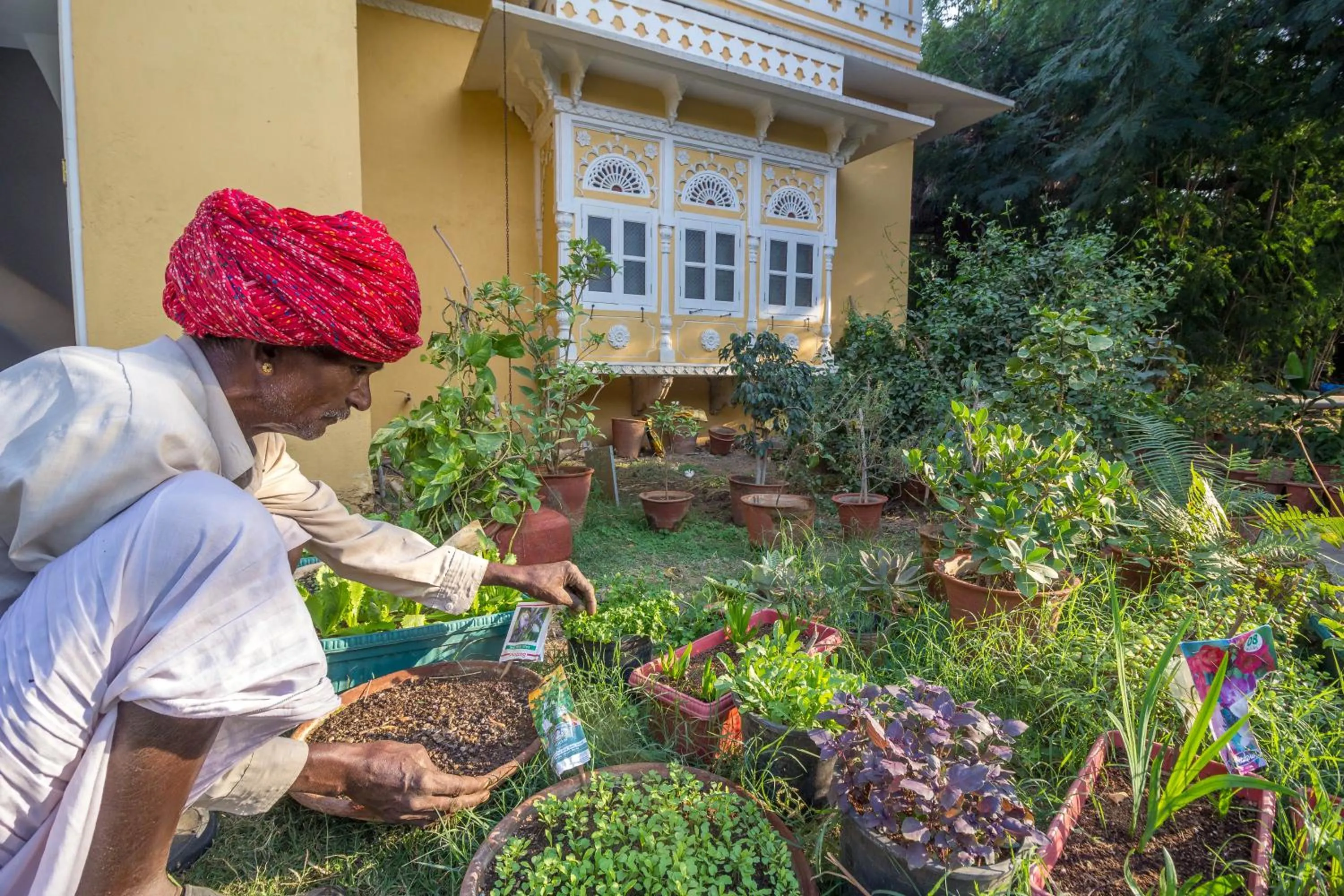 Garden view in Dev Shree Deogarh