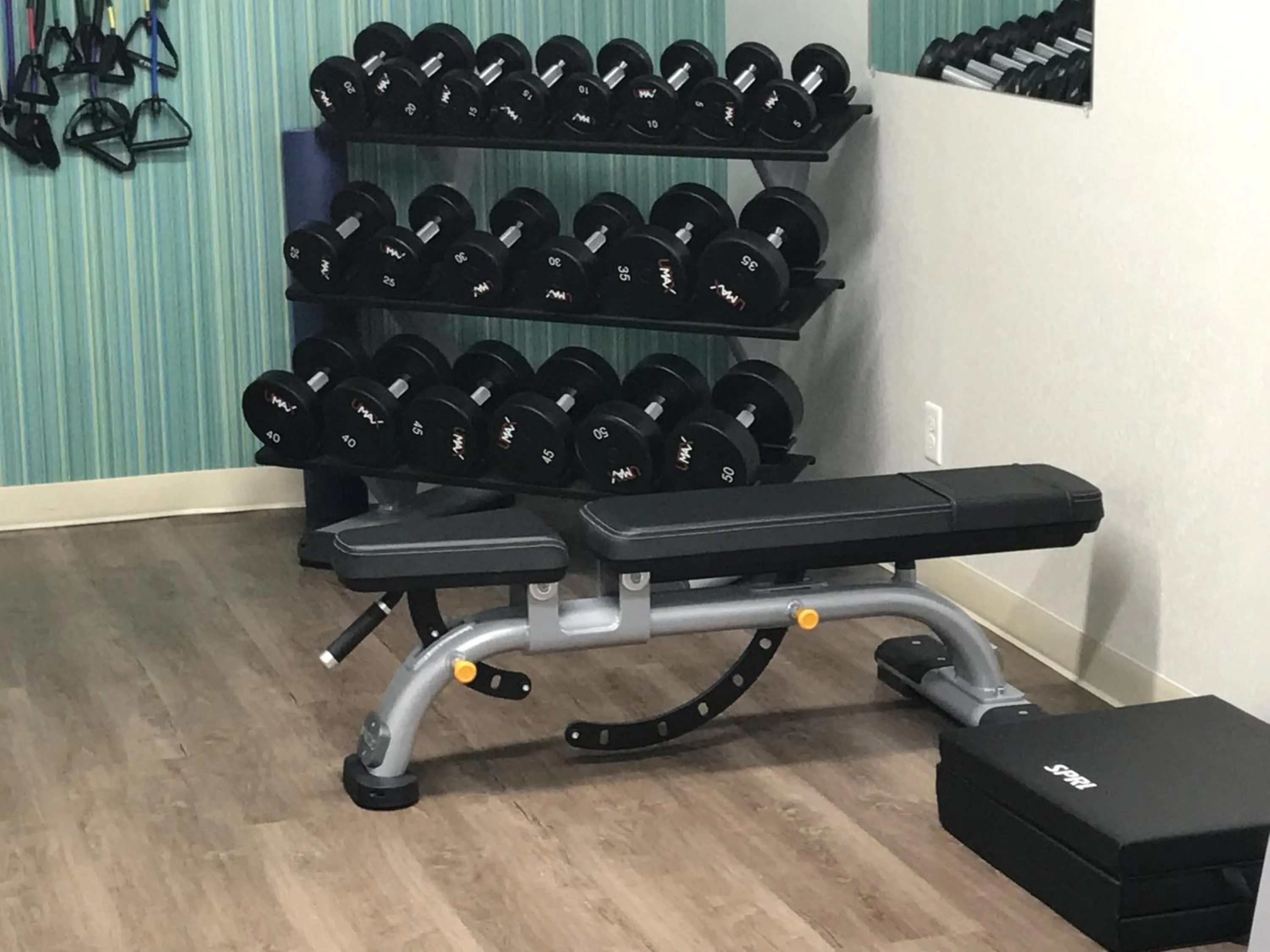 Fitness centre/facilities in Holiday Inn Express - Naples South - I-75 by IHG