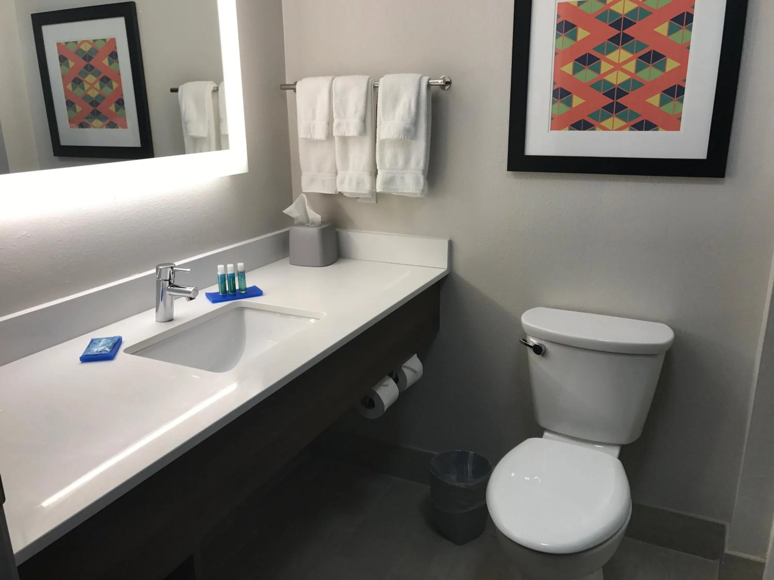 Bathroom in Holiday Inn Express - Naples South - I-75 by IHG