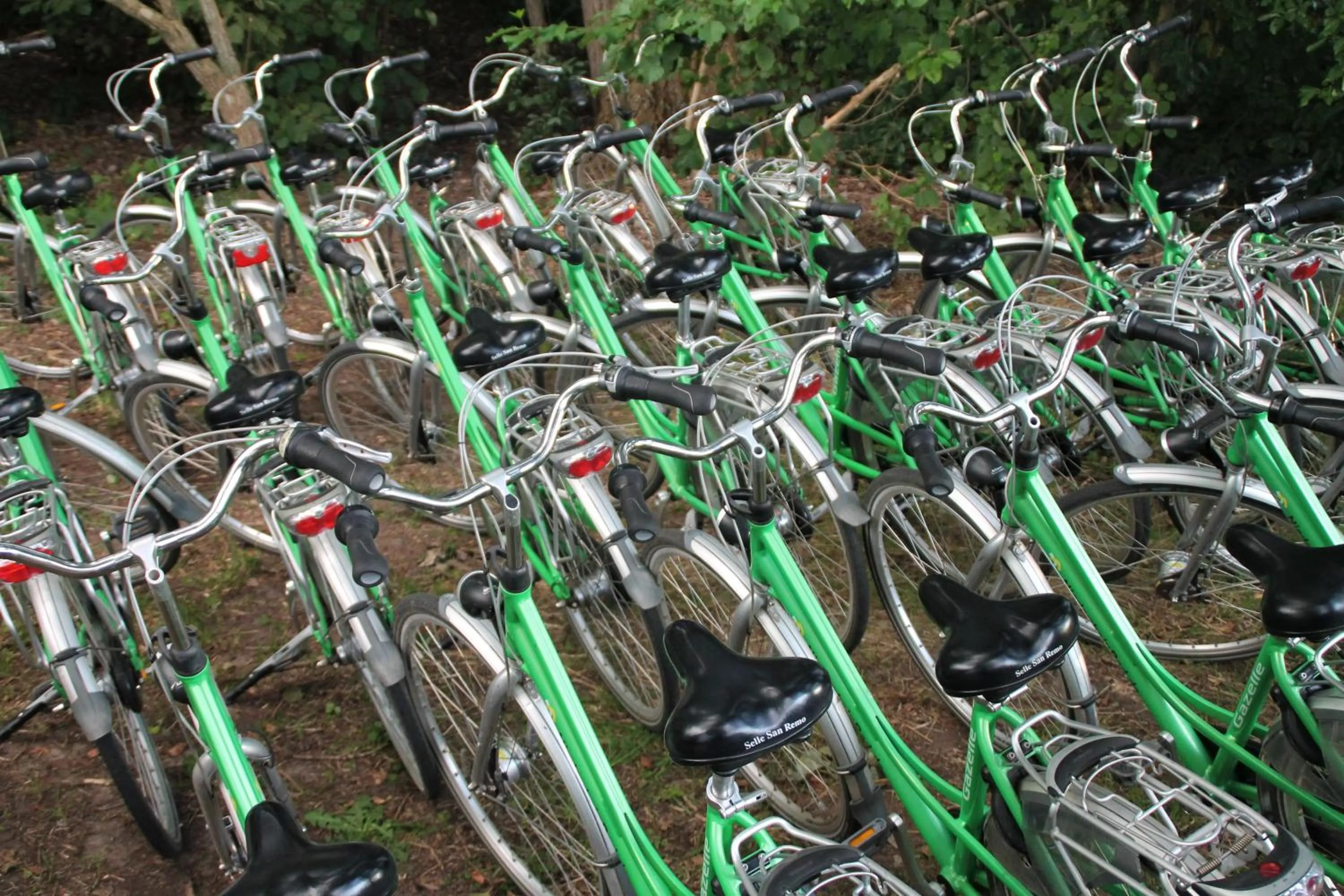 Activities in Hotel Schloss Walbeck