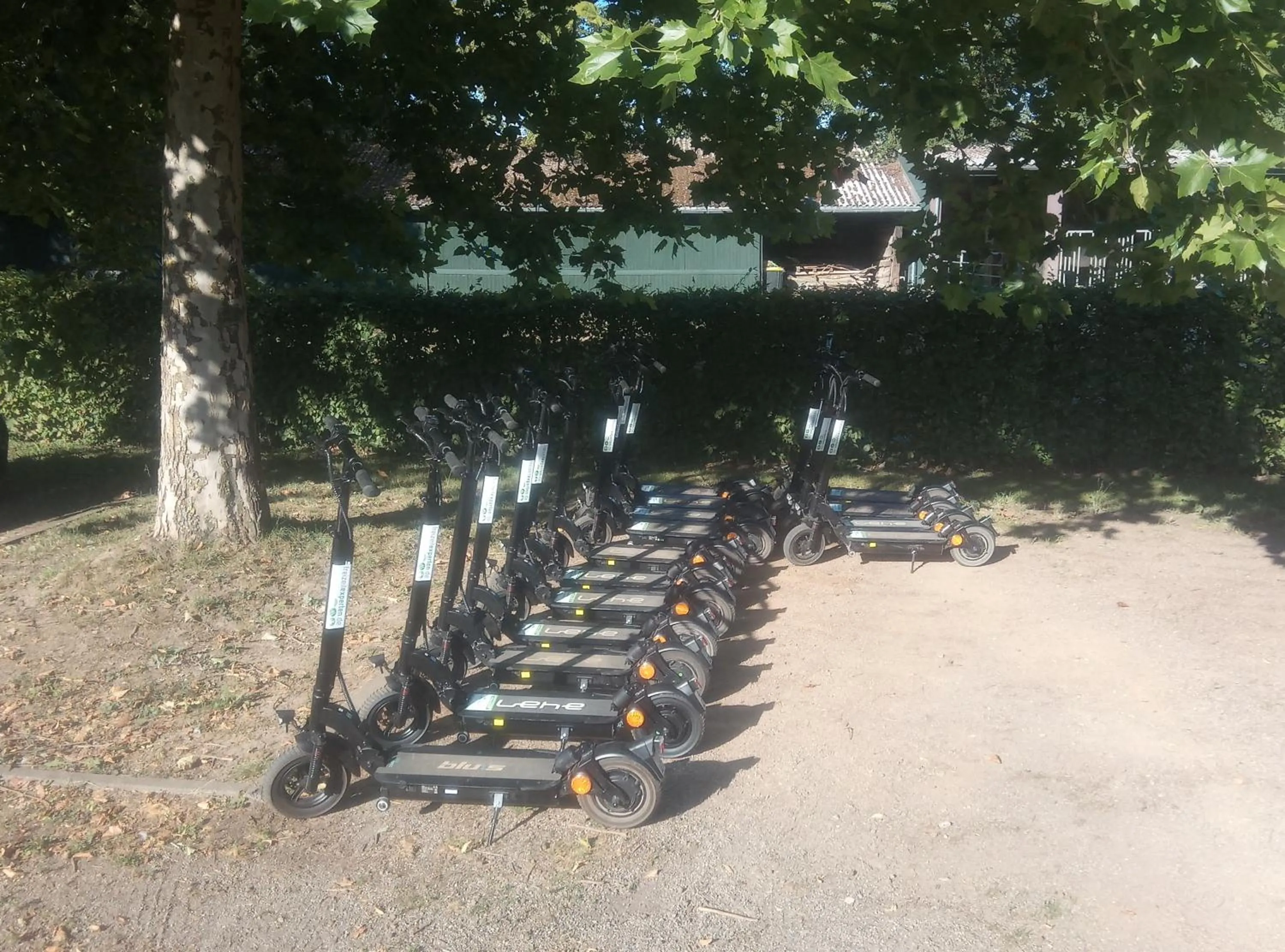 Activities in Hotel Schloss Walbeck