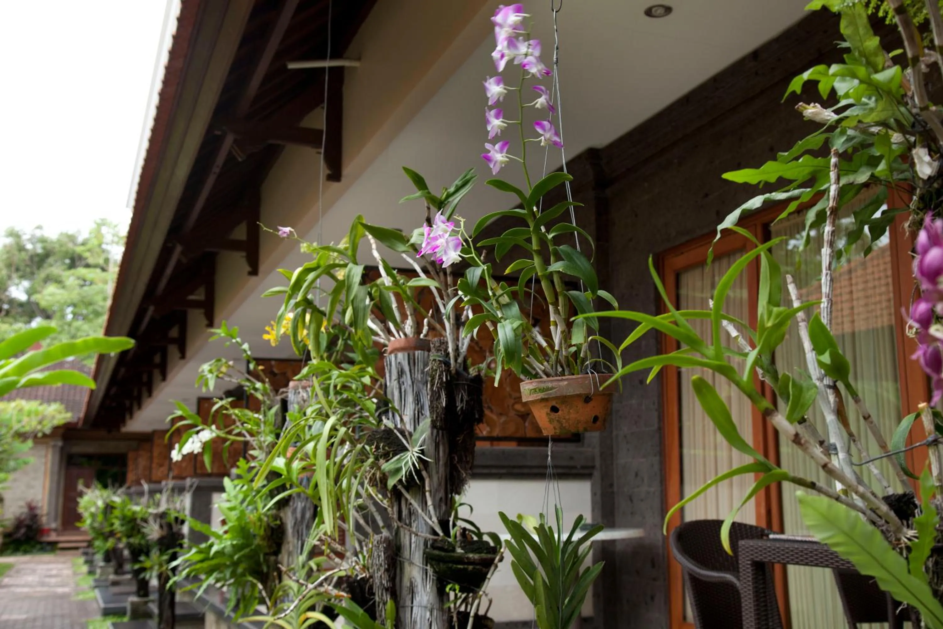 View (from property/room) in Jepun Bali Hotel