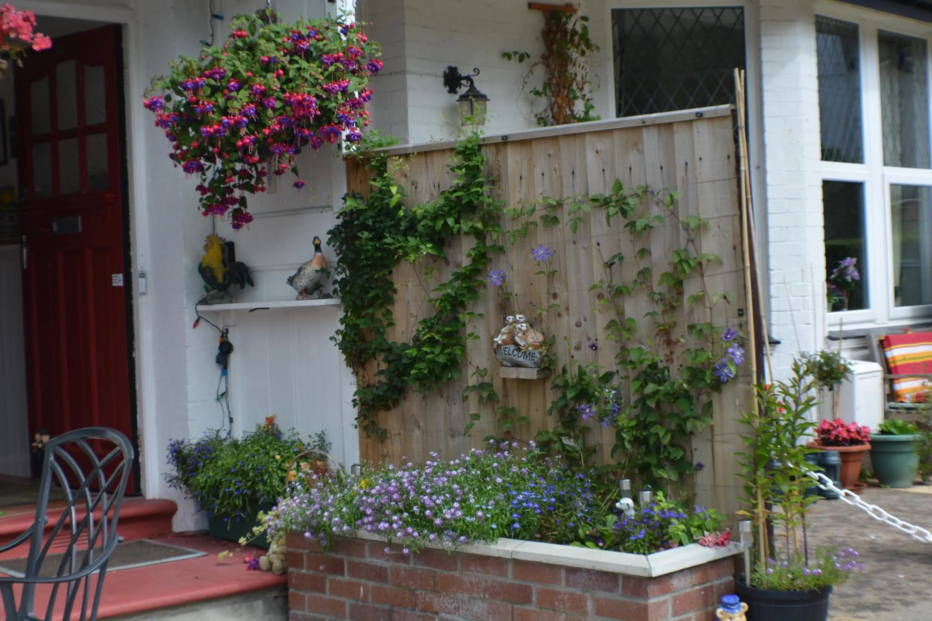 Garden in Merriedale Guest House