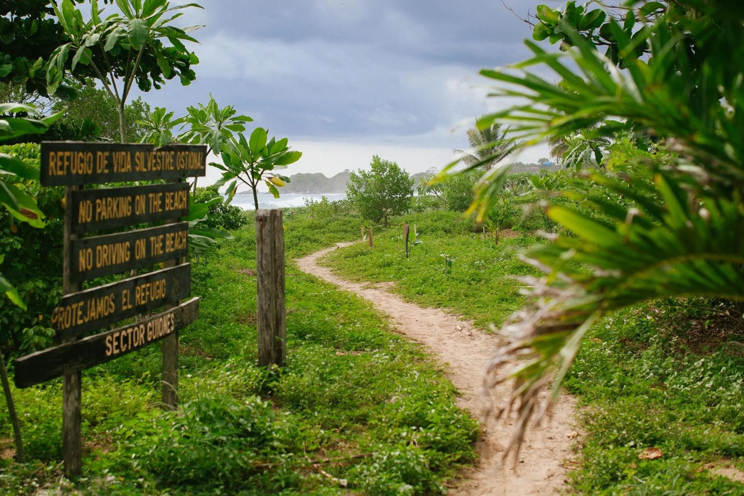 Property logo or sign in Olas Verdes Hotel