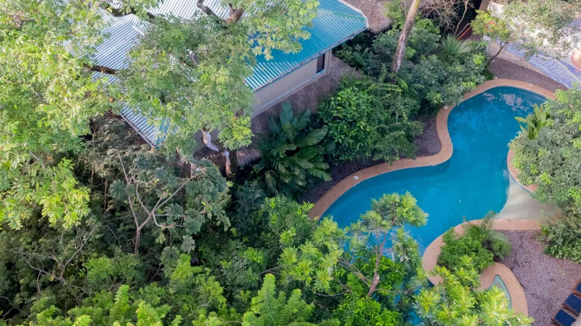Bird's eye view in Olas Verdes Hotel