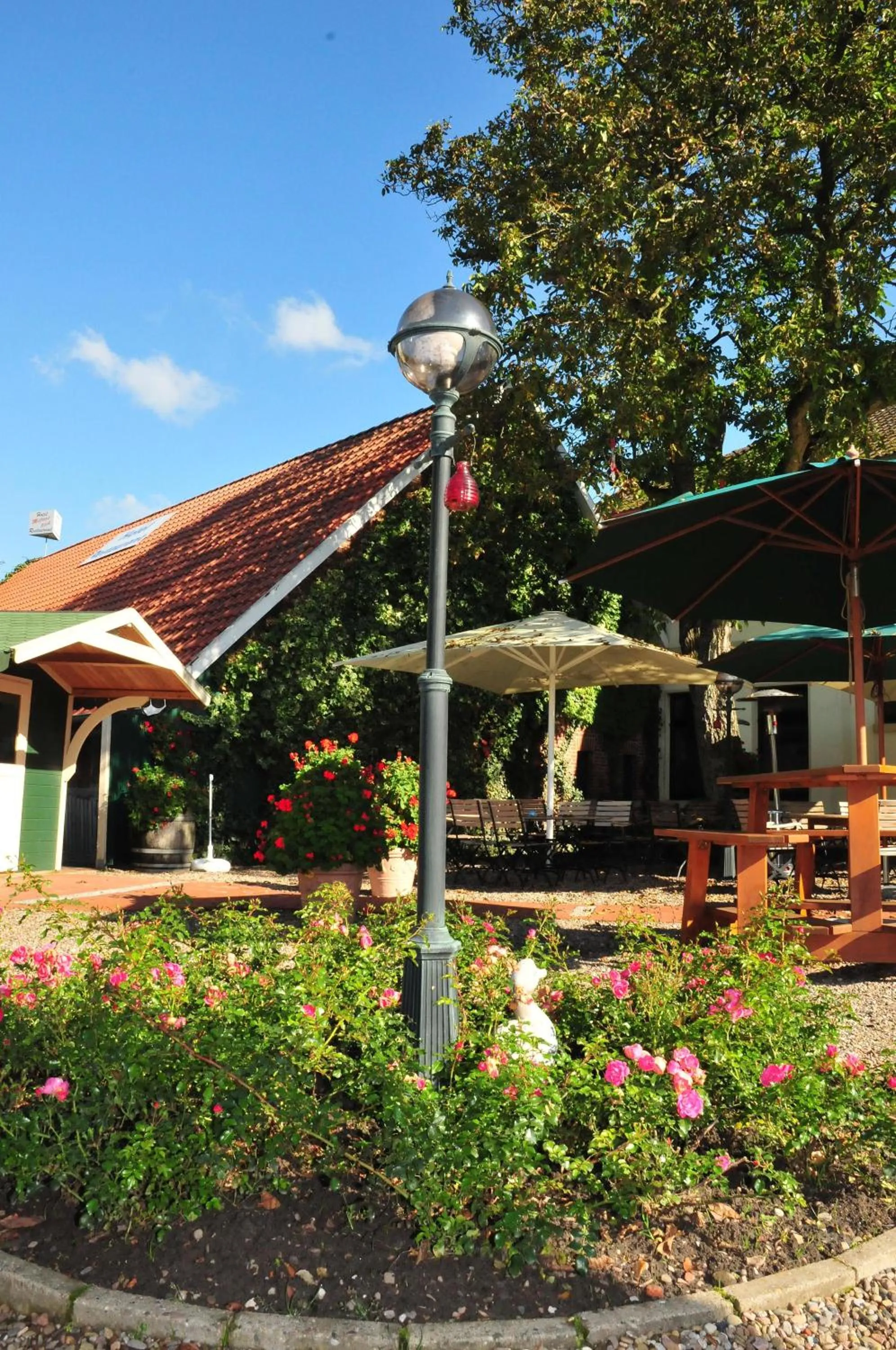 Garden in Hotel Knipper